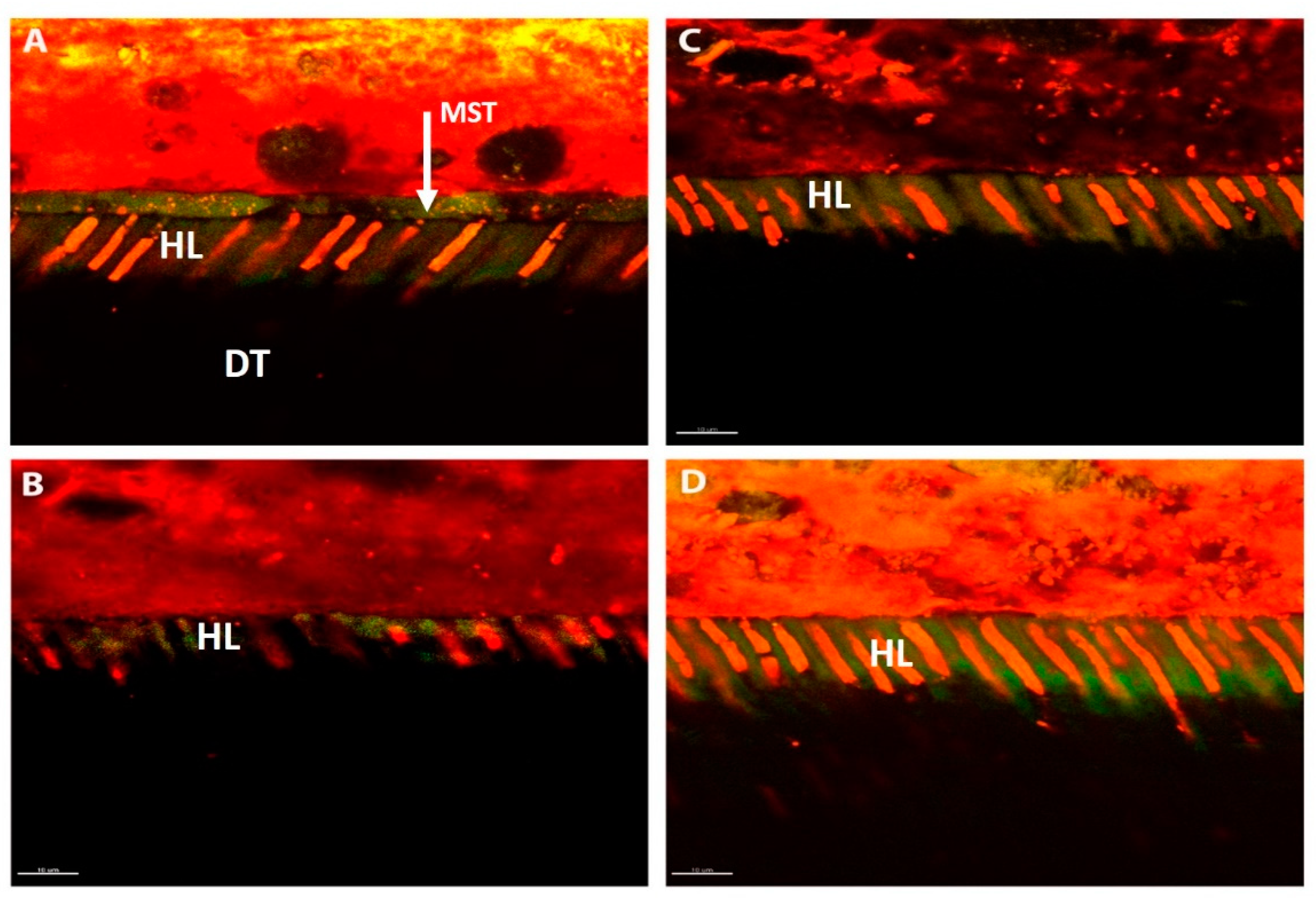 Materials 12 02504 g003 Materials 12 02504 g003