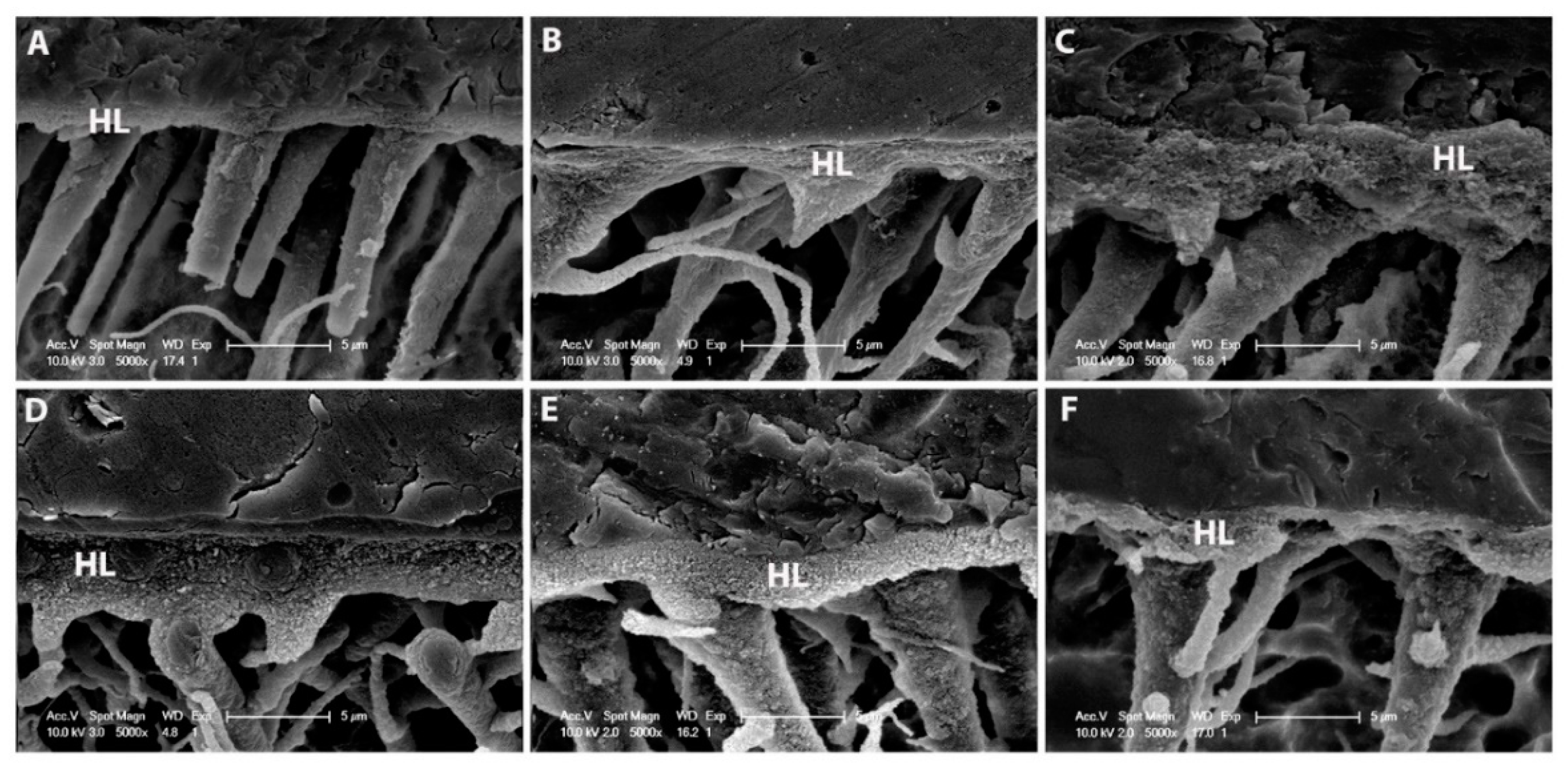 Materials 12 02504 g004 Materials 12 02504 g004