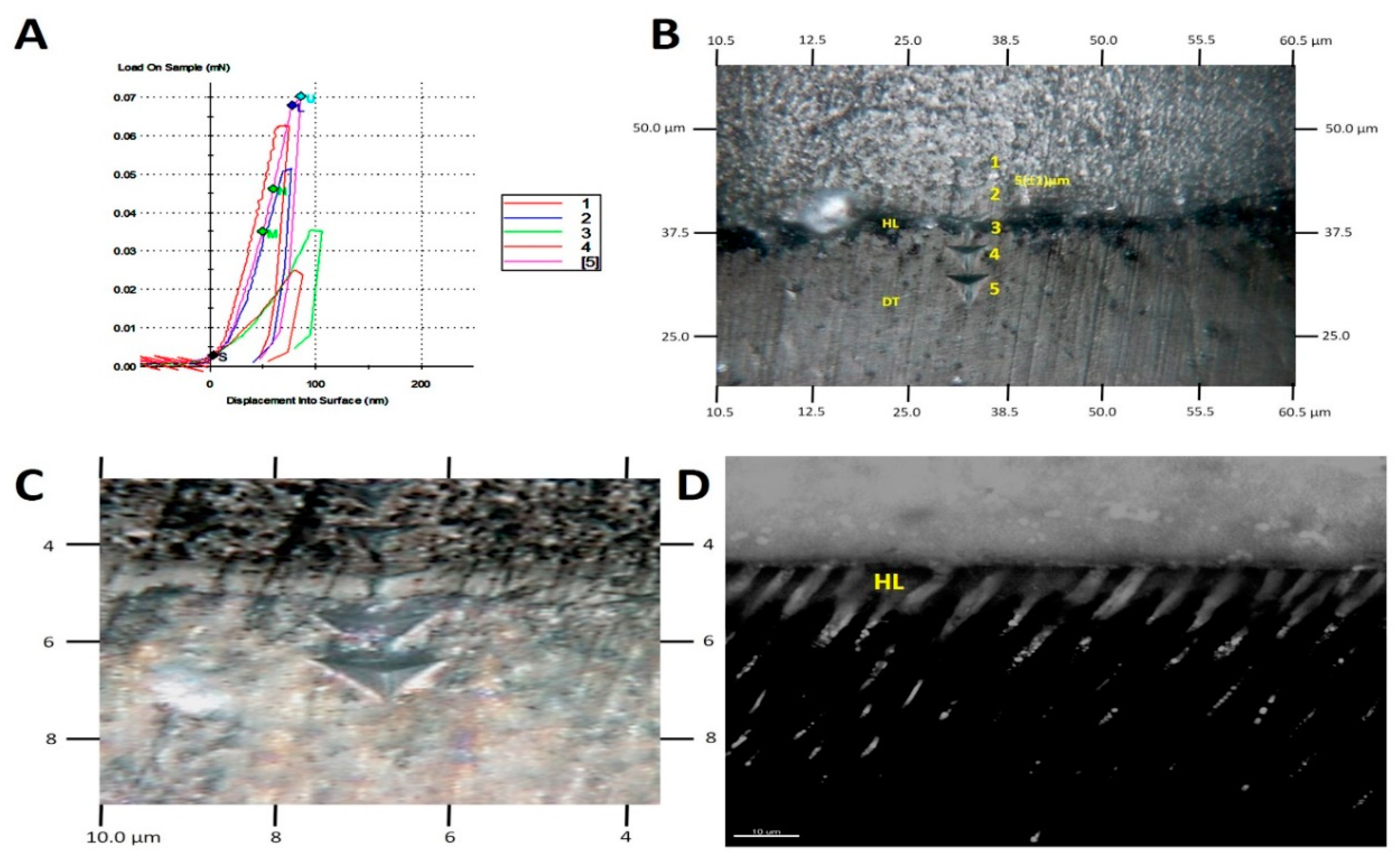 Materials 12 02504 g005 Materials 12 02504 g005