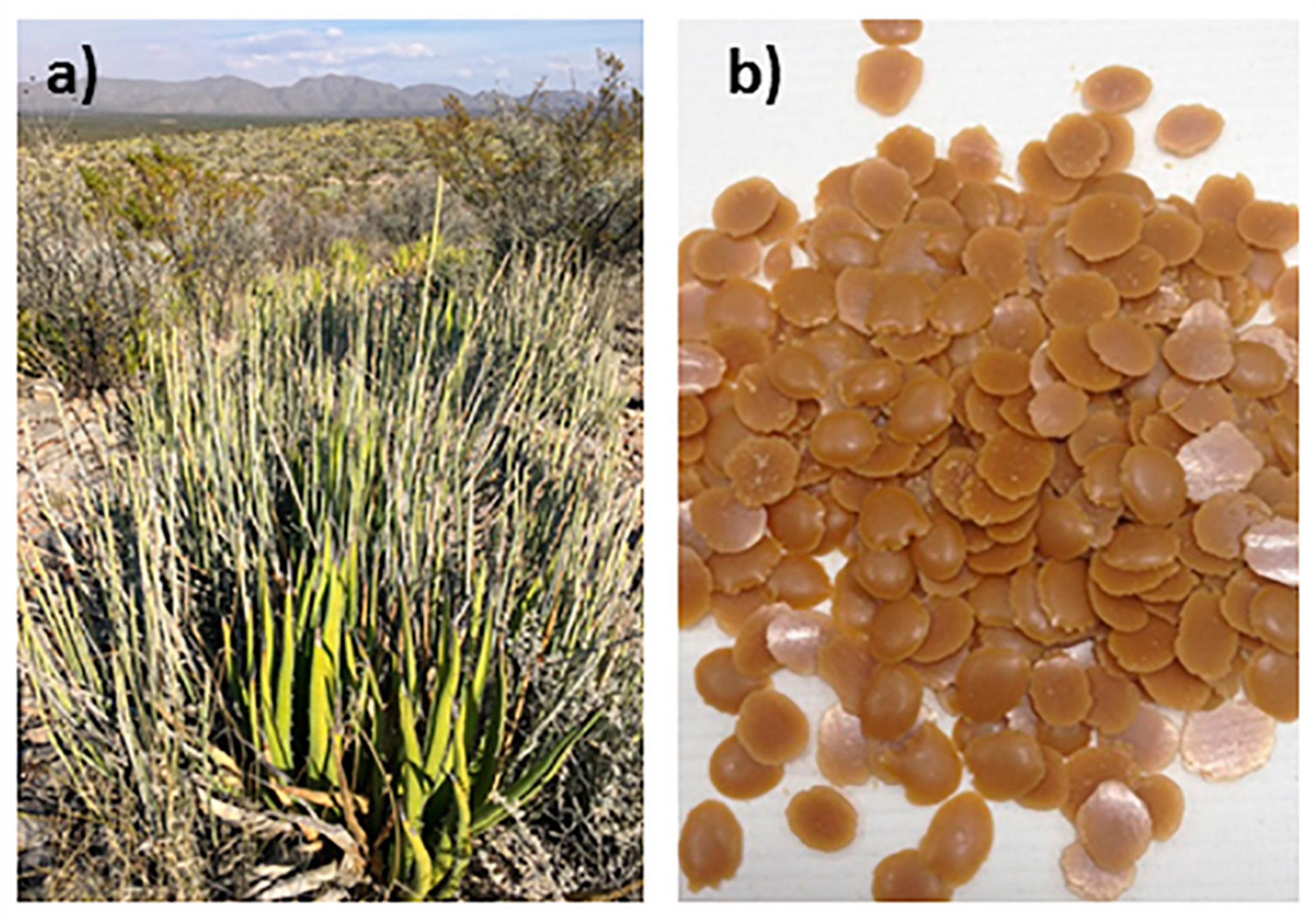 Materials 12 02530 g001 Materials 12 02530 g001