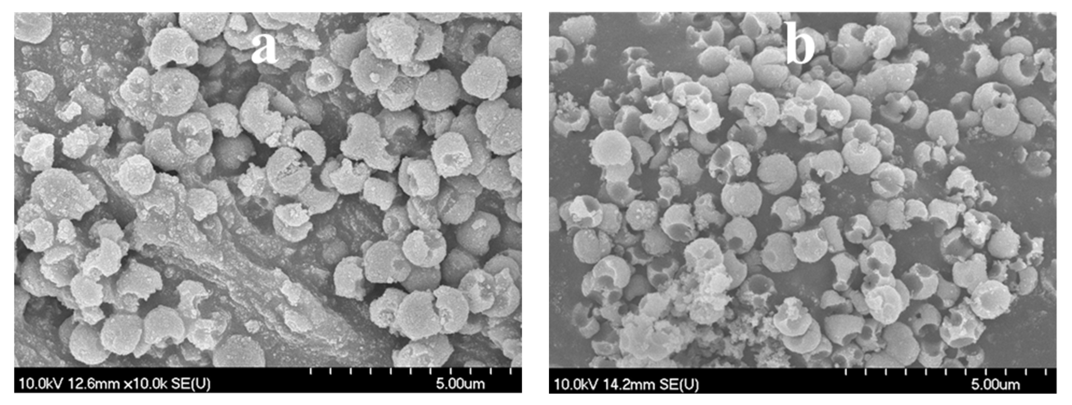 Materials 12 02537 g008