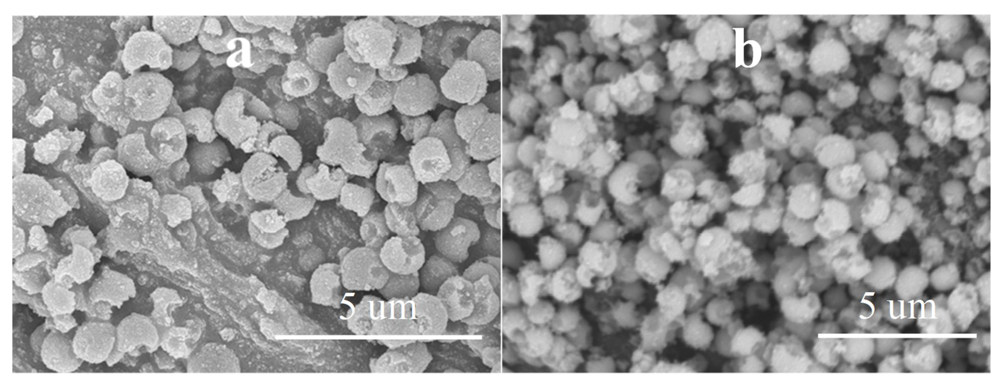 Materials 12 02537 g013