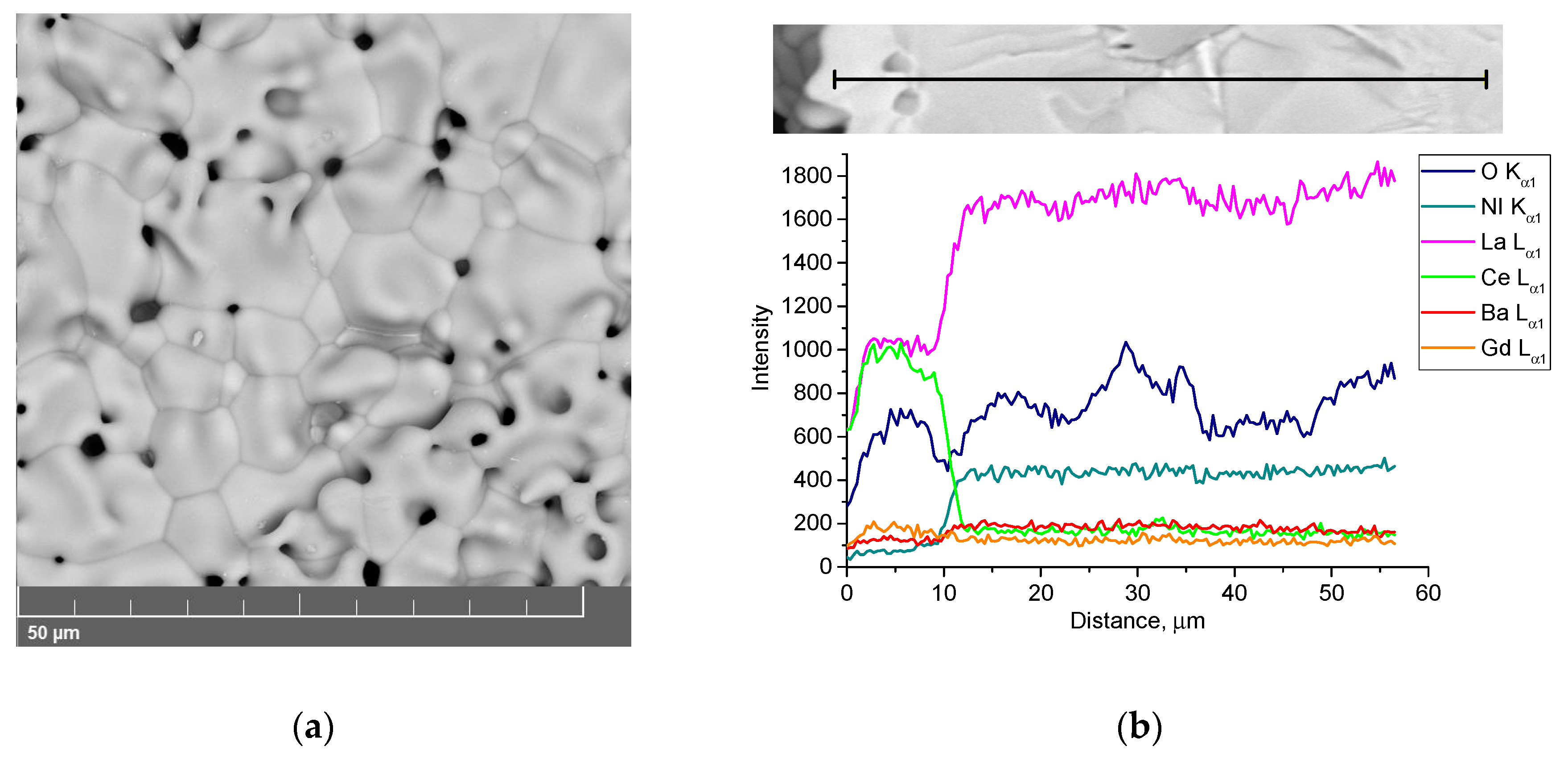 Materials 12 02545 g003a