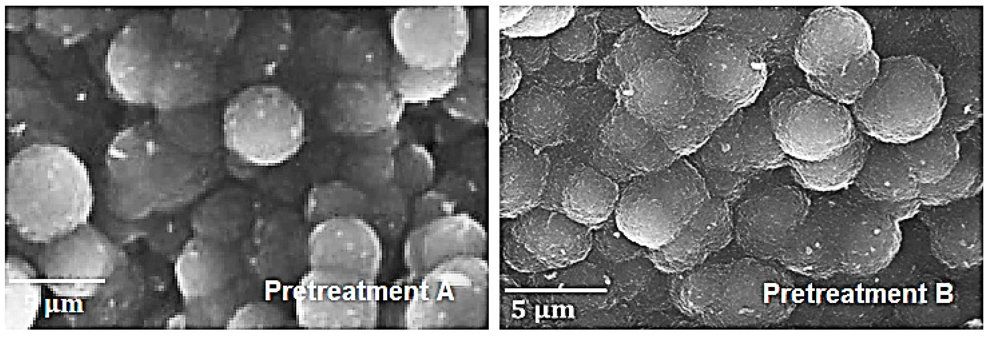 Materials 12 02550 g006