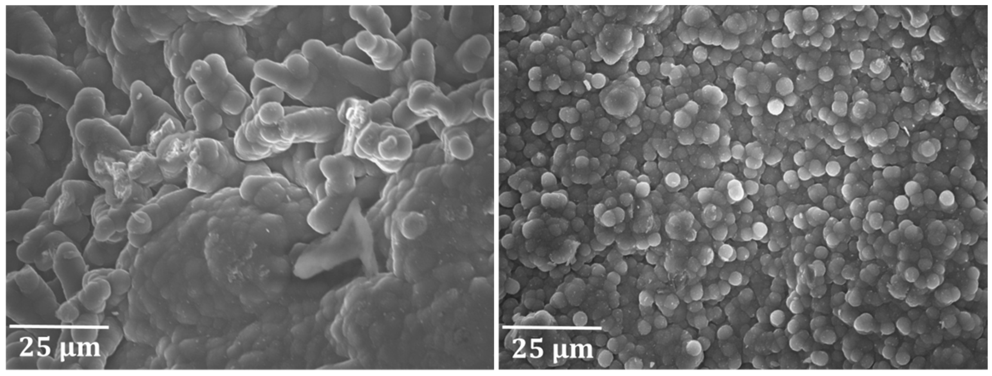 Materials 12 02550 g007