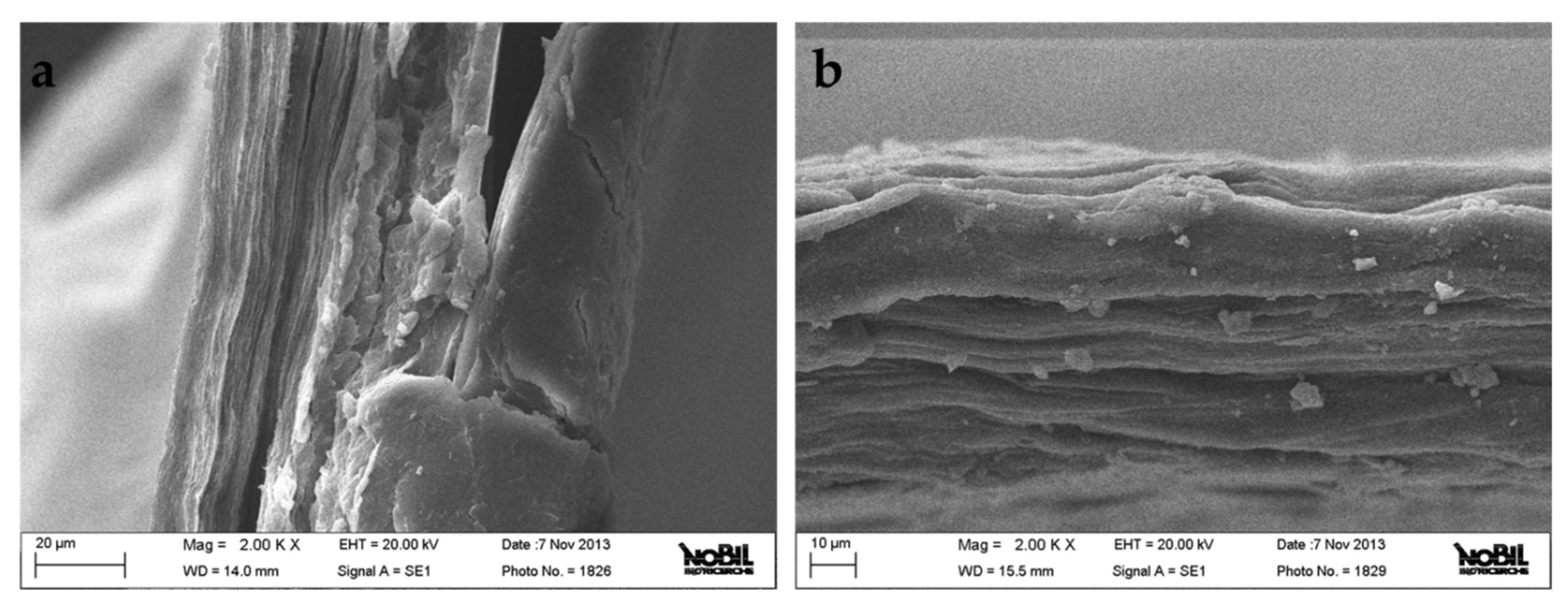 Materials 12 02564 g004 Materials 12 02564 g004