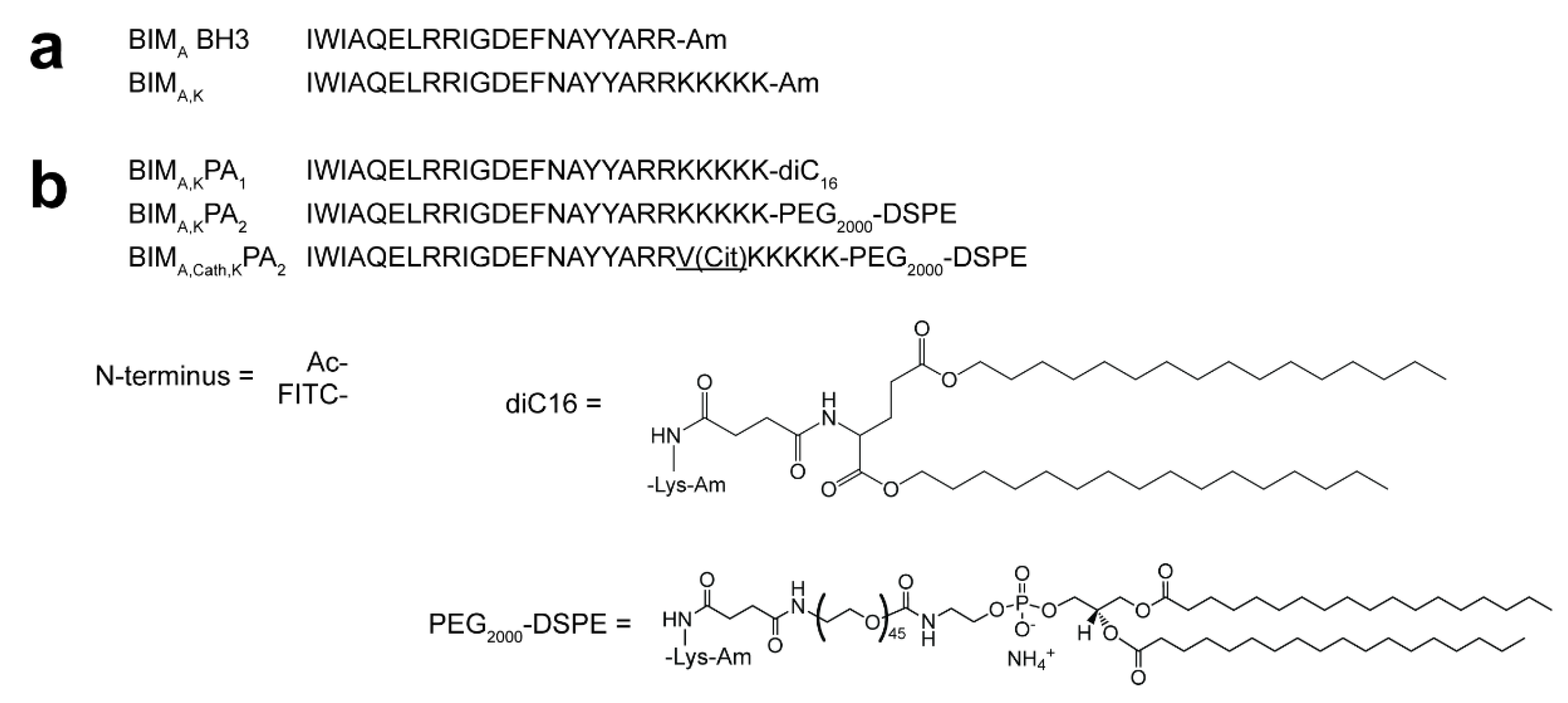 Materials 12 02567 g001