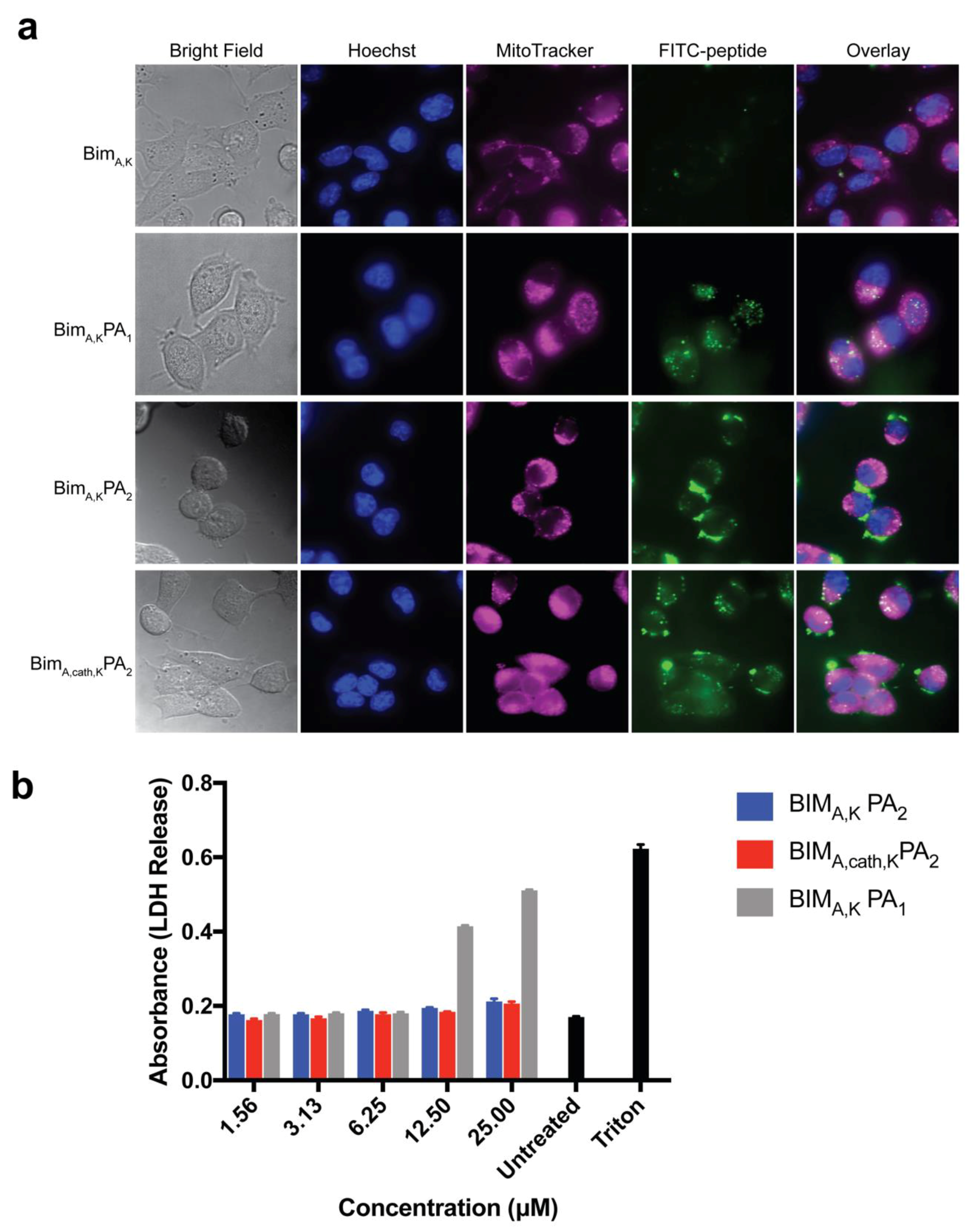Materials 12 02567 g002