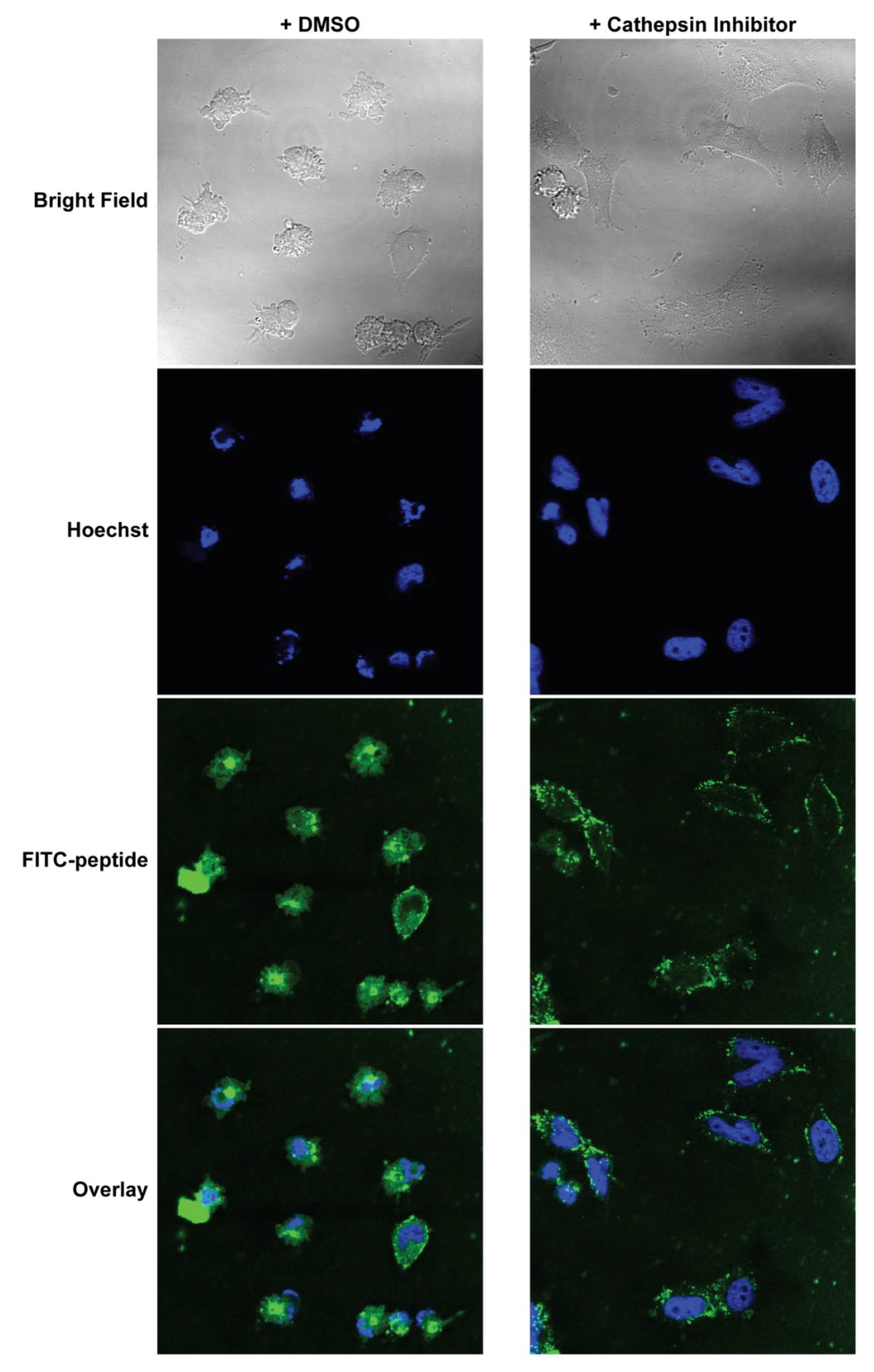 Materials 12 02567 g005