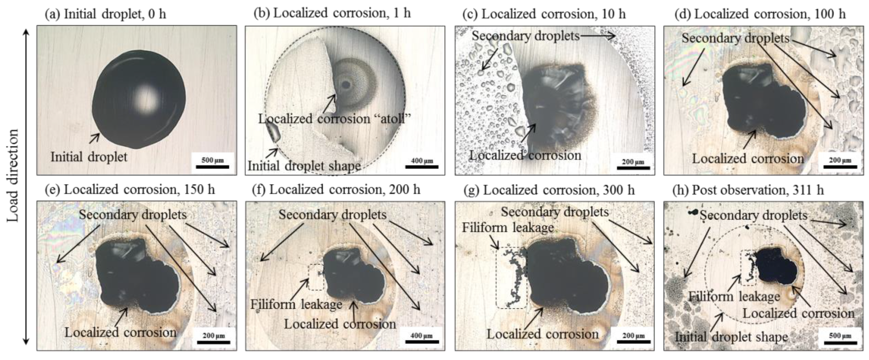Materials 12 02569 g005
