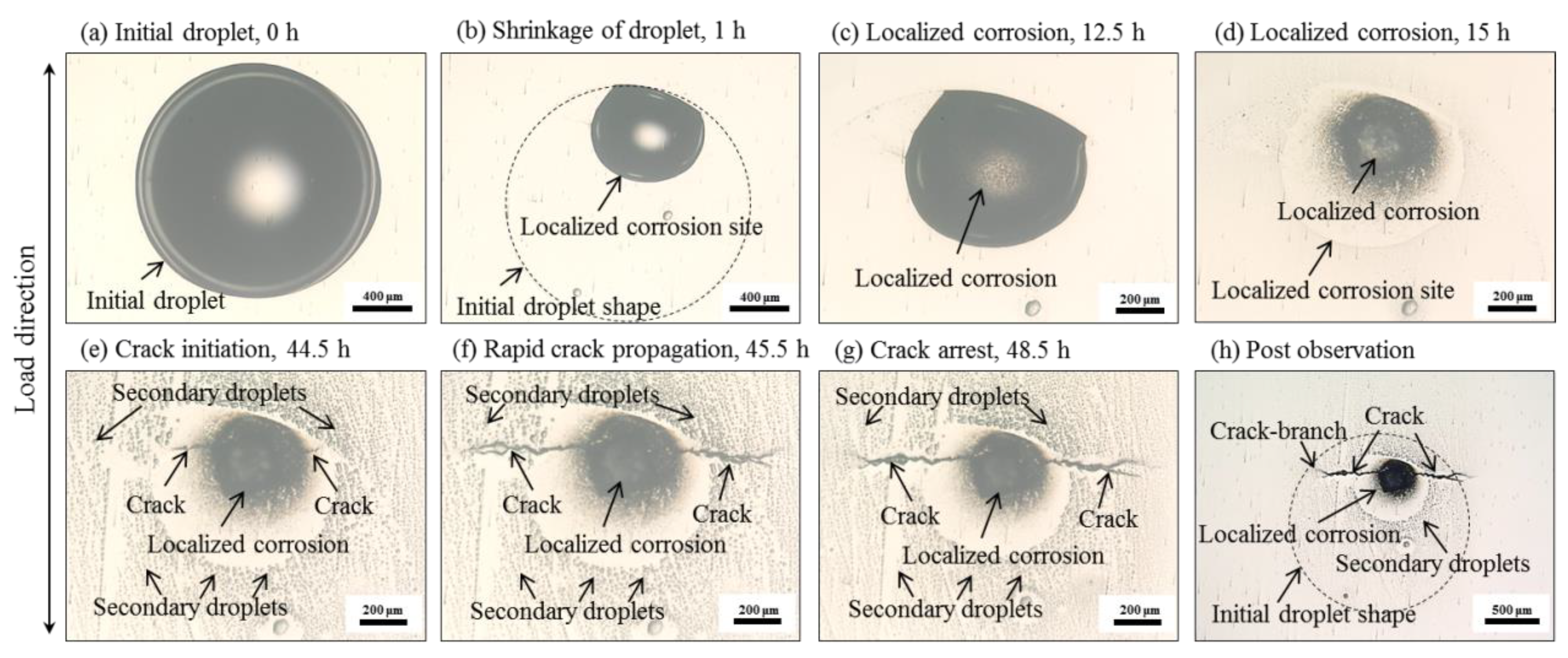 Materials 12 02569 g006
