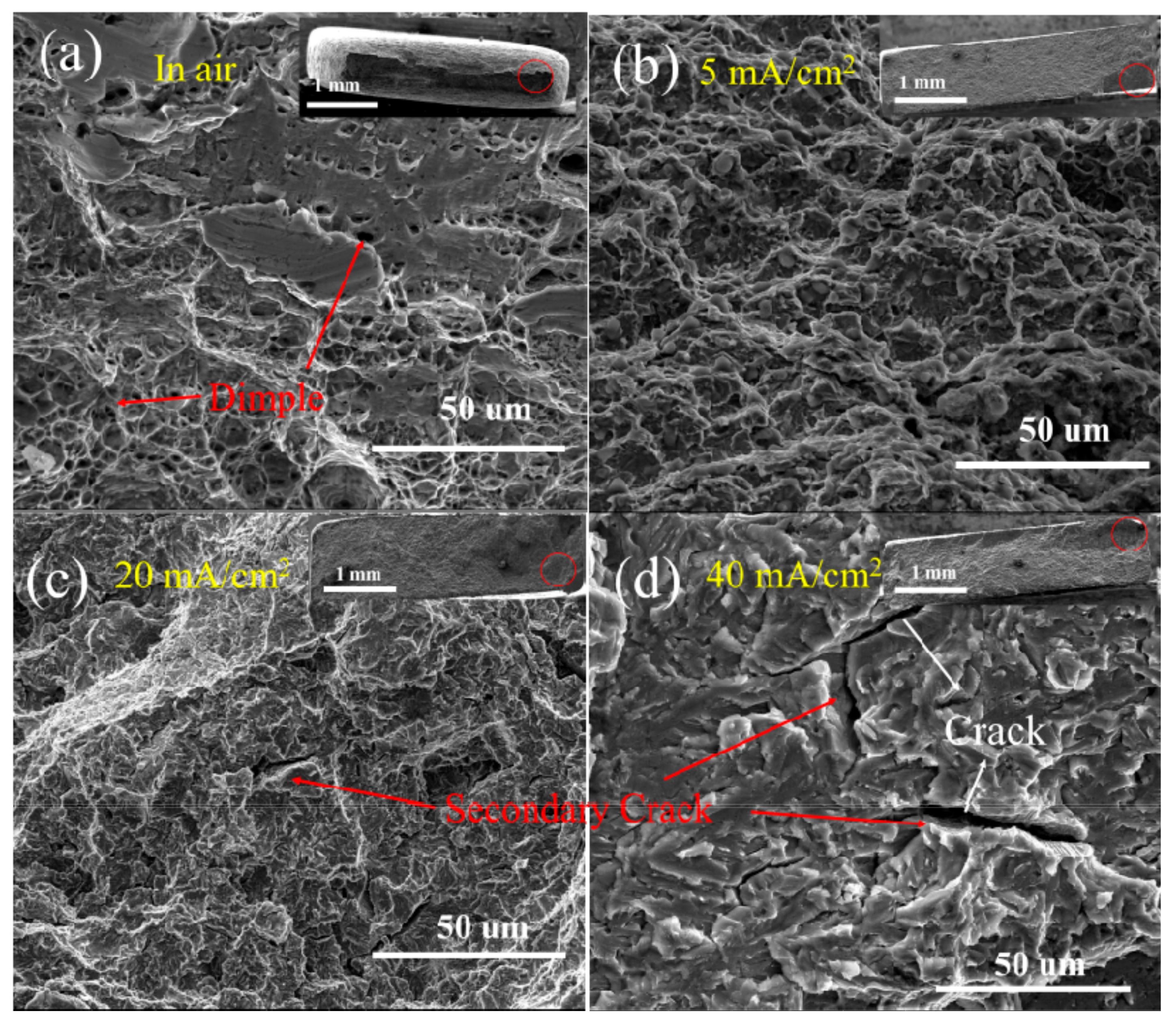 Materials 12 02575 g007