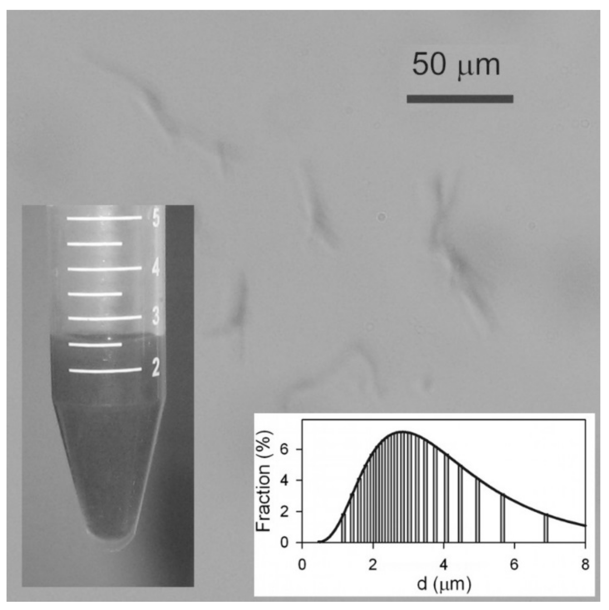 Materials 12 02582 g002 Materials 12 02582 g002