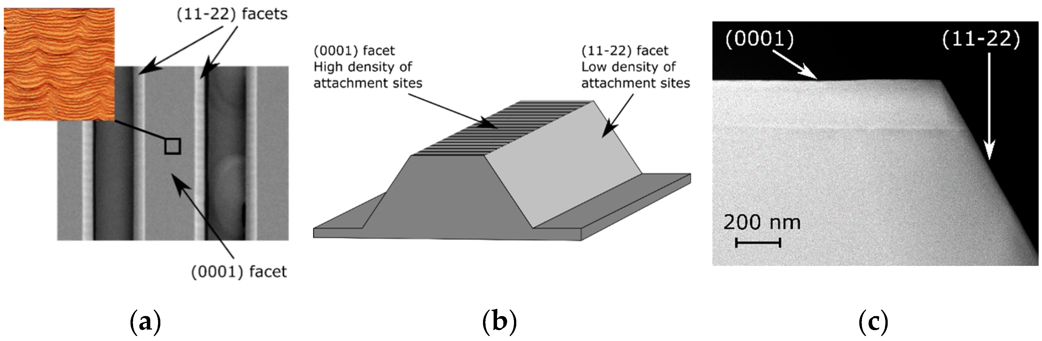 Materials 12 02583 g011 Materials 12 02583 g011