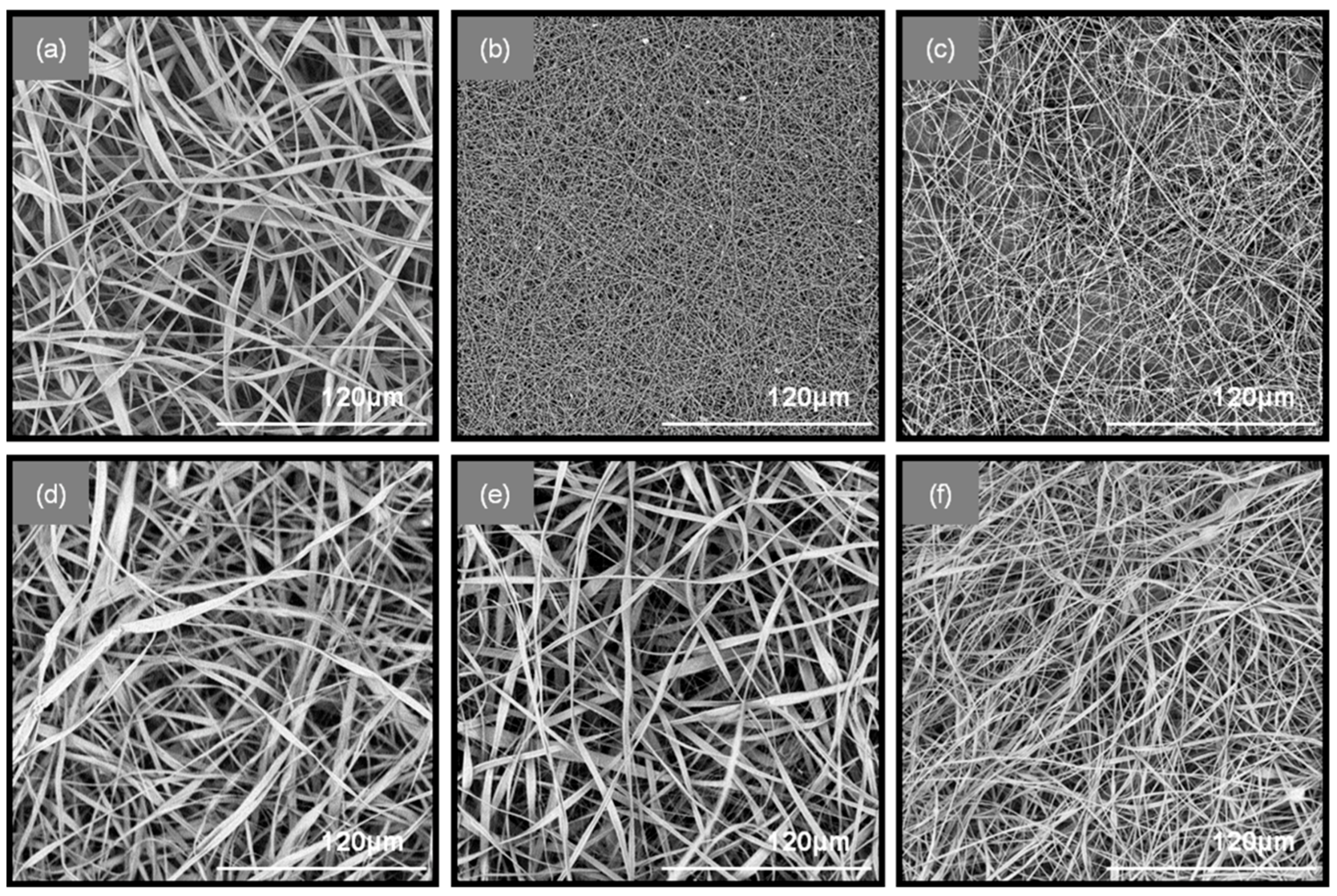 In Vivo Evaluation of the Anti-Inflammatory Activity of