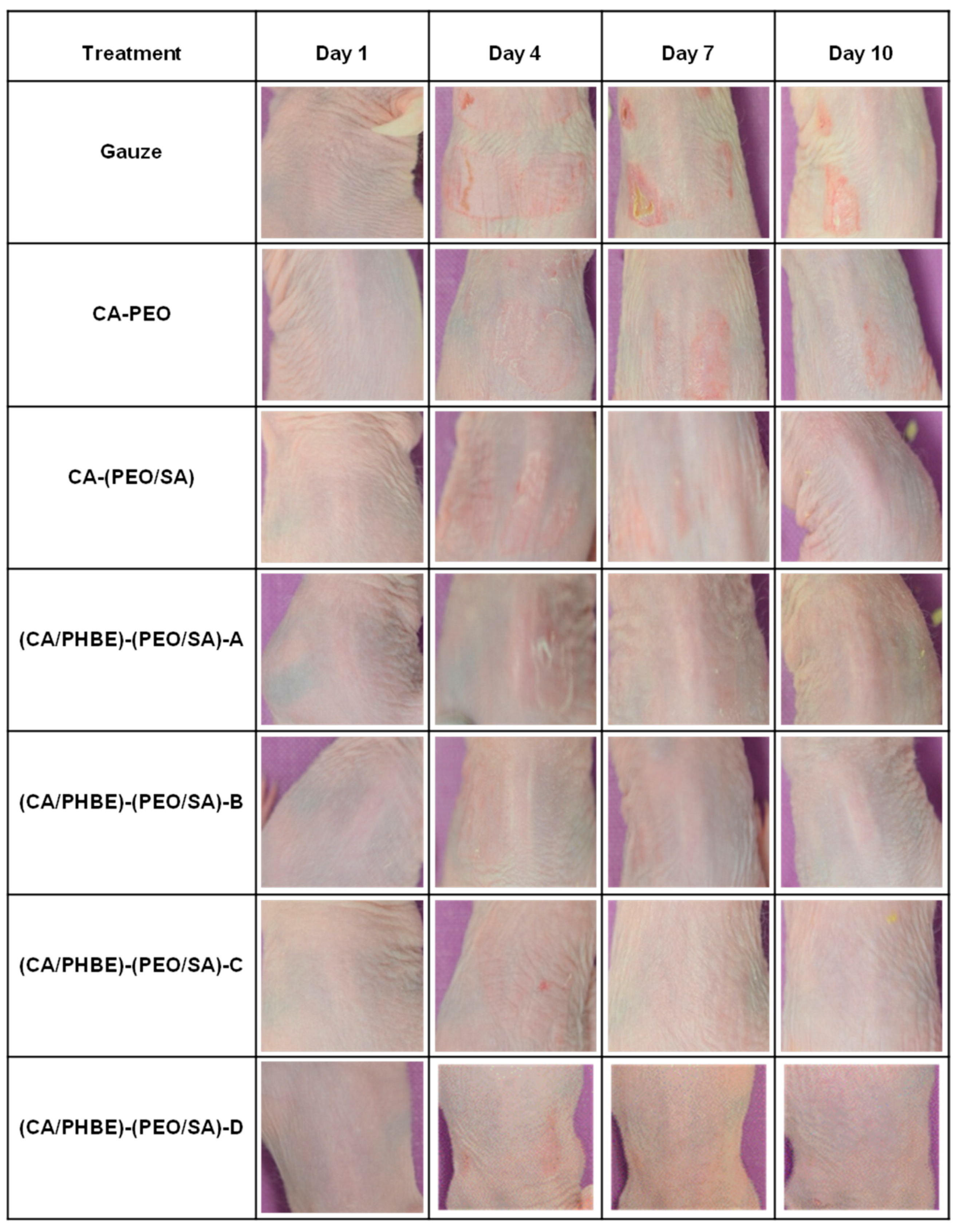 Materials 12 02596 g004