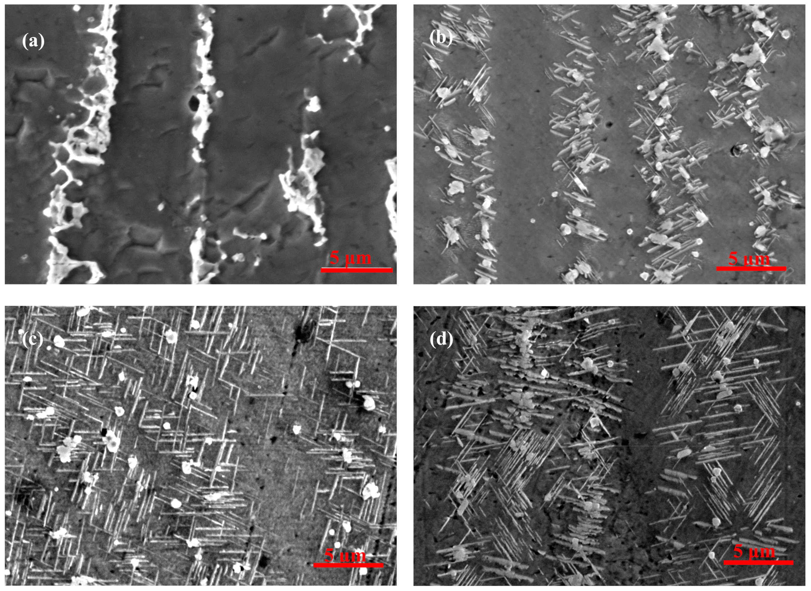 Materials 12 02604 g006