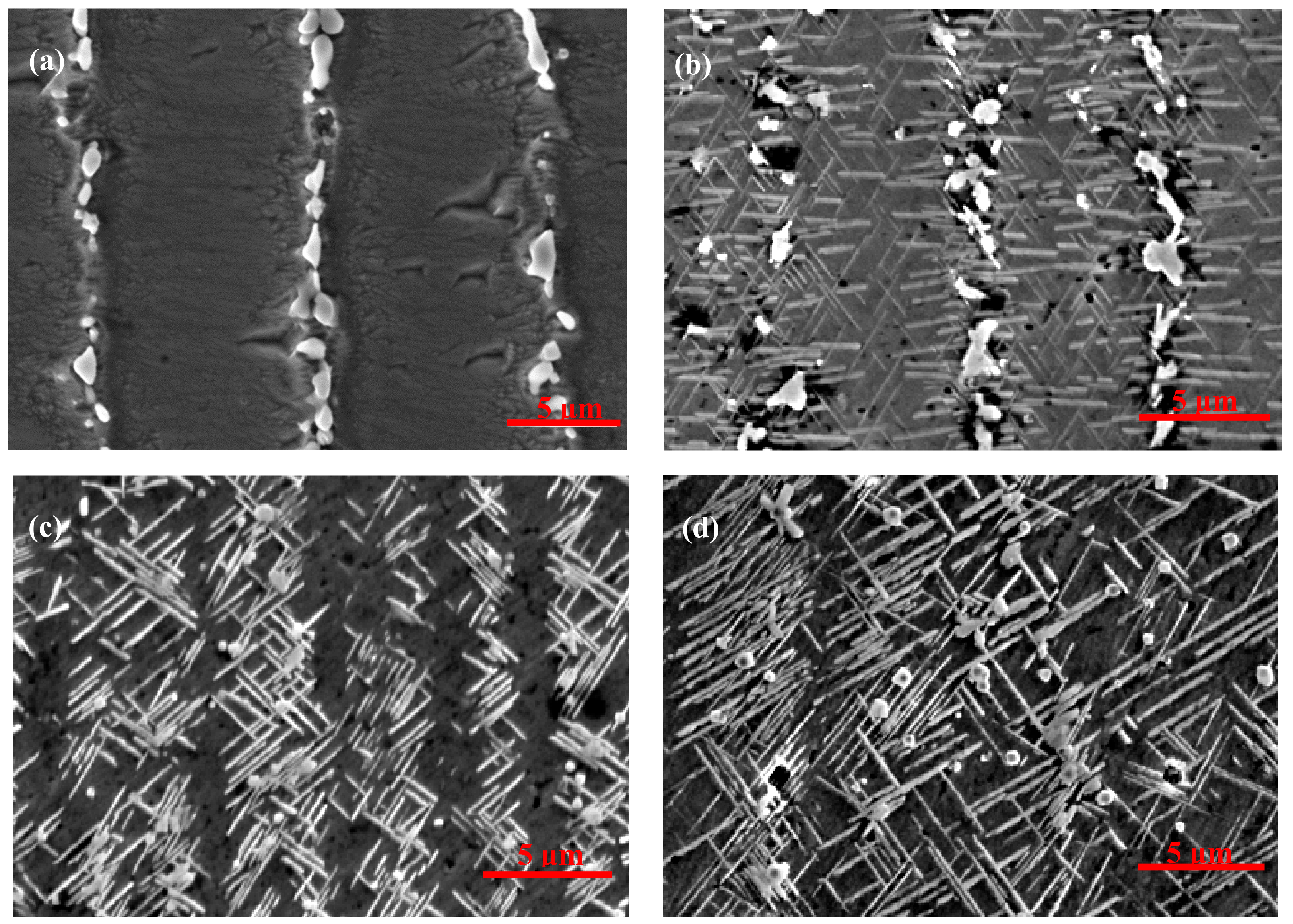 Materials 12 02604 g007