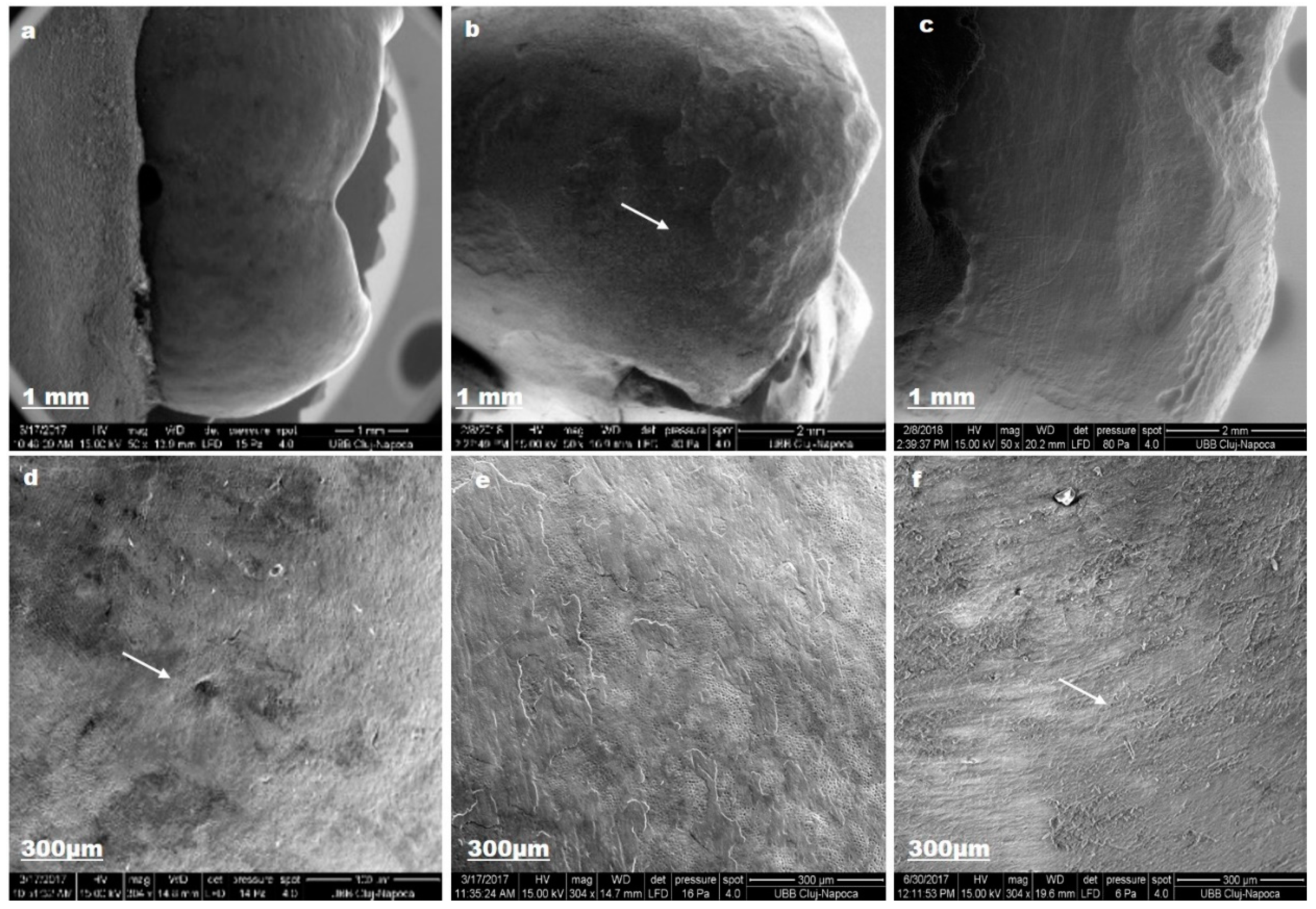Materials 12 02610 g008