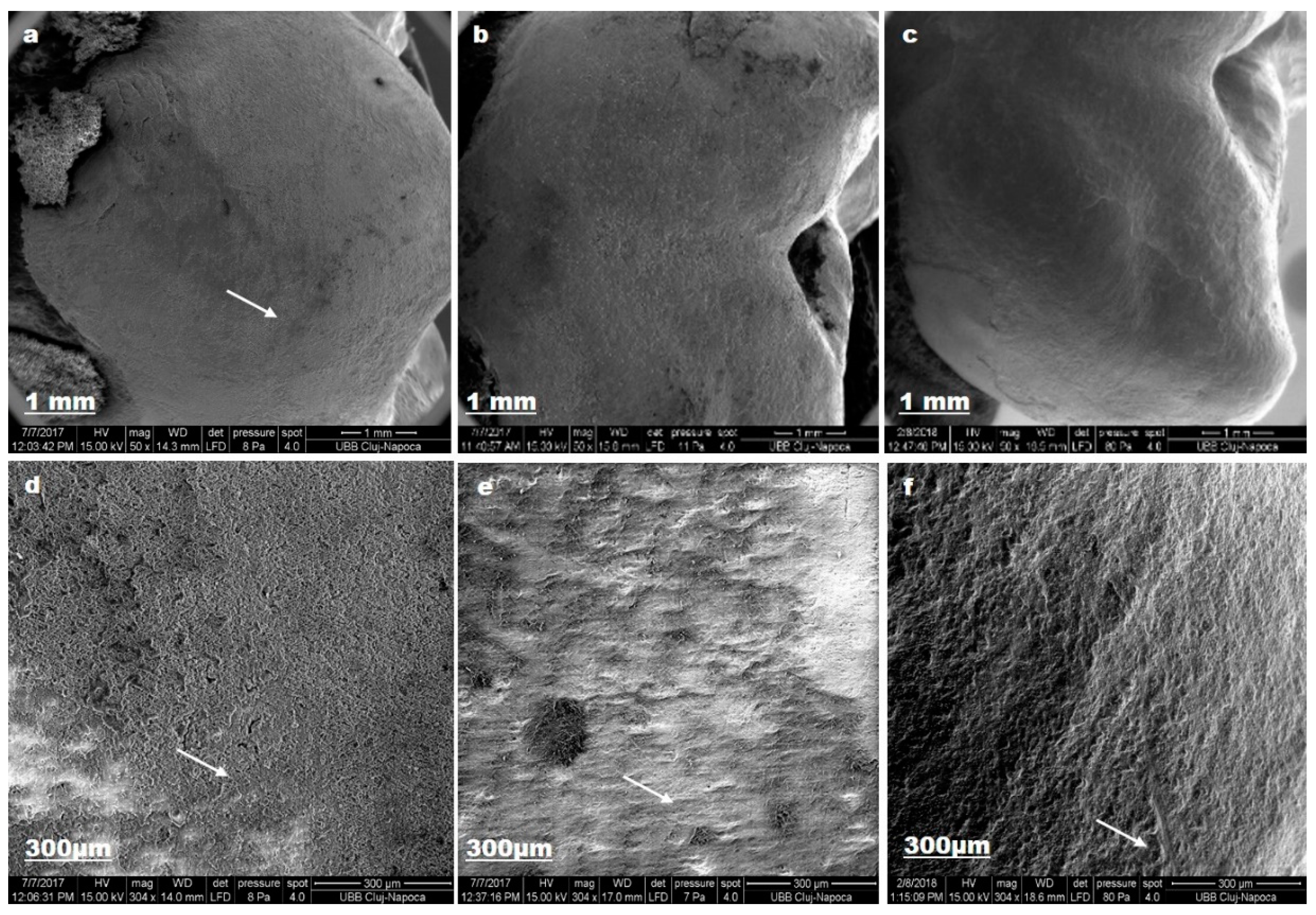 Materials 12 02610 g010