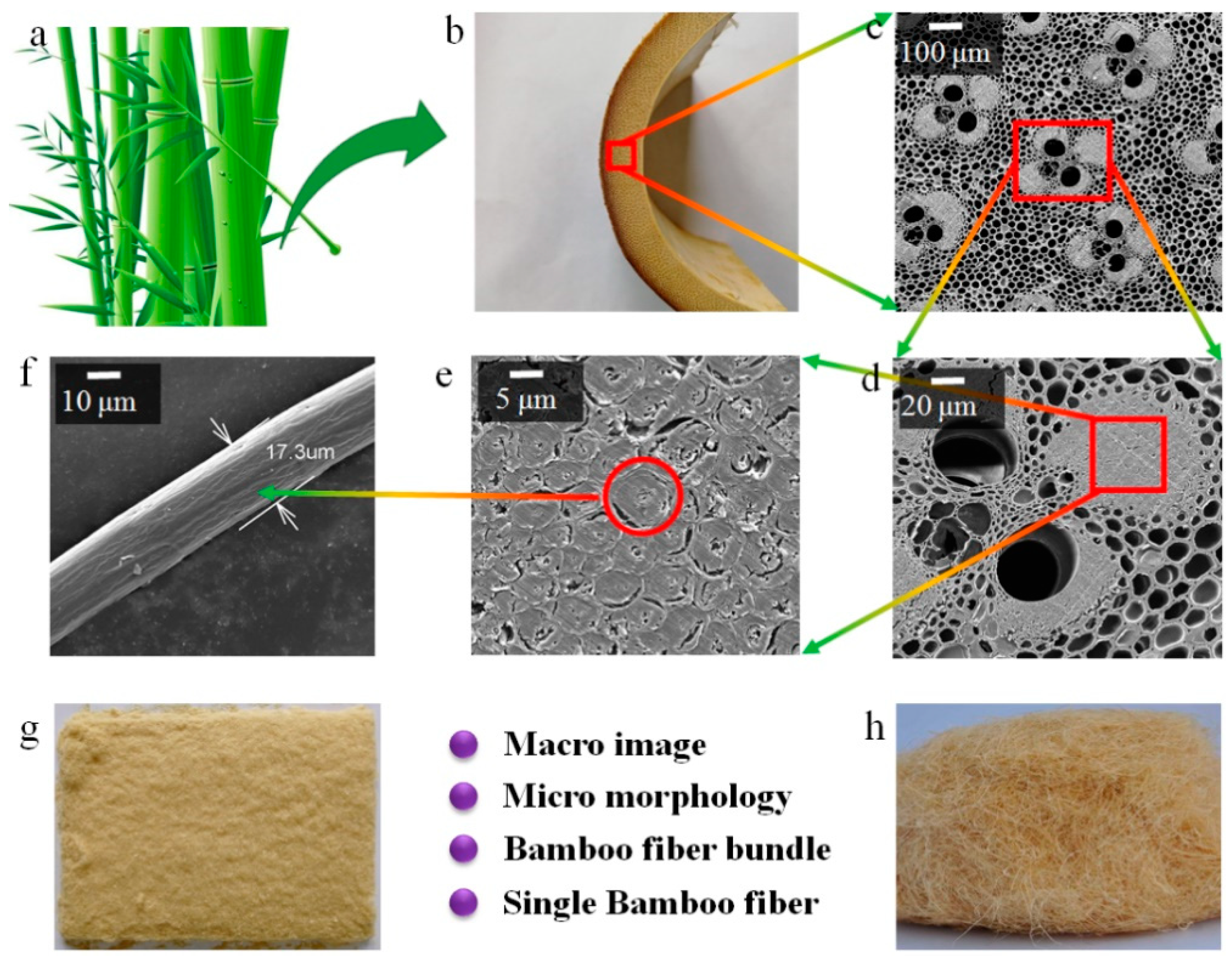 Materials 12 02641 g001
