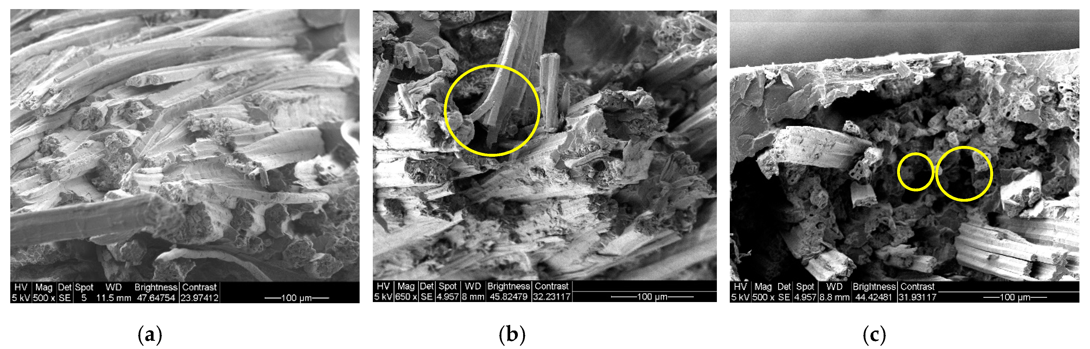 Materials 12 02648 g010