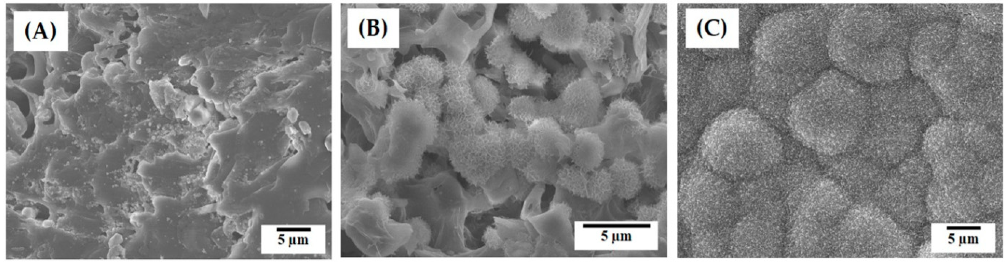 Materials 12 02650 g011