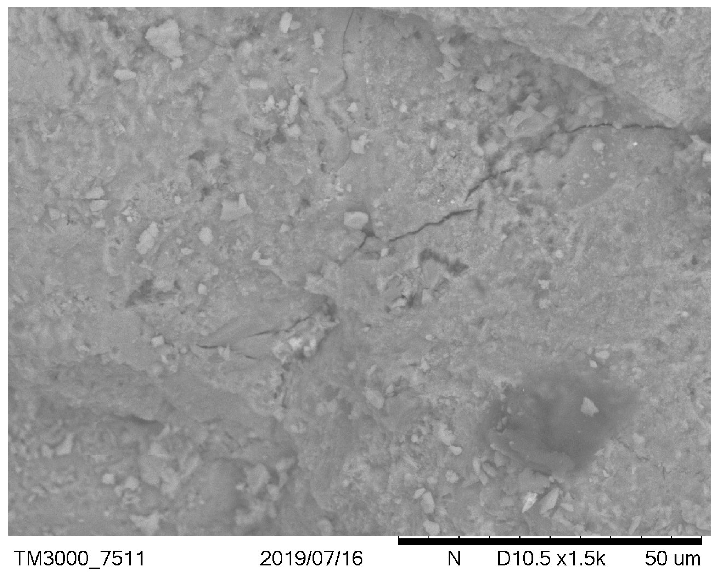 Materials 12 02665 g006