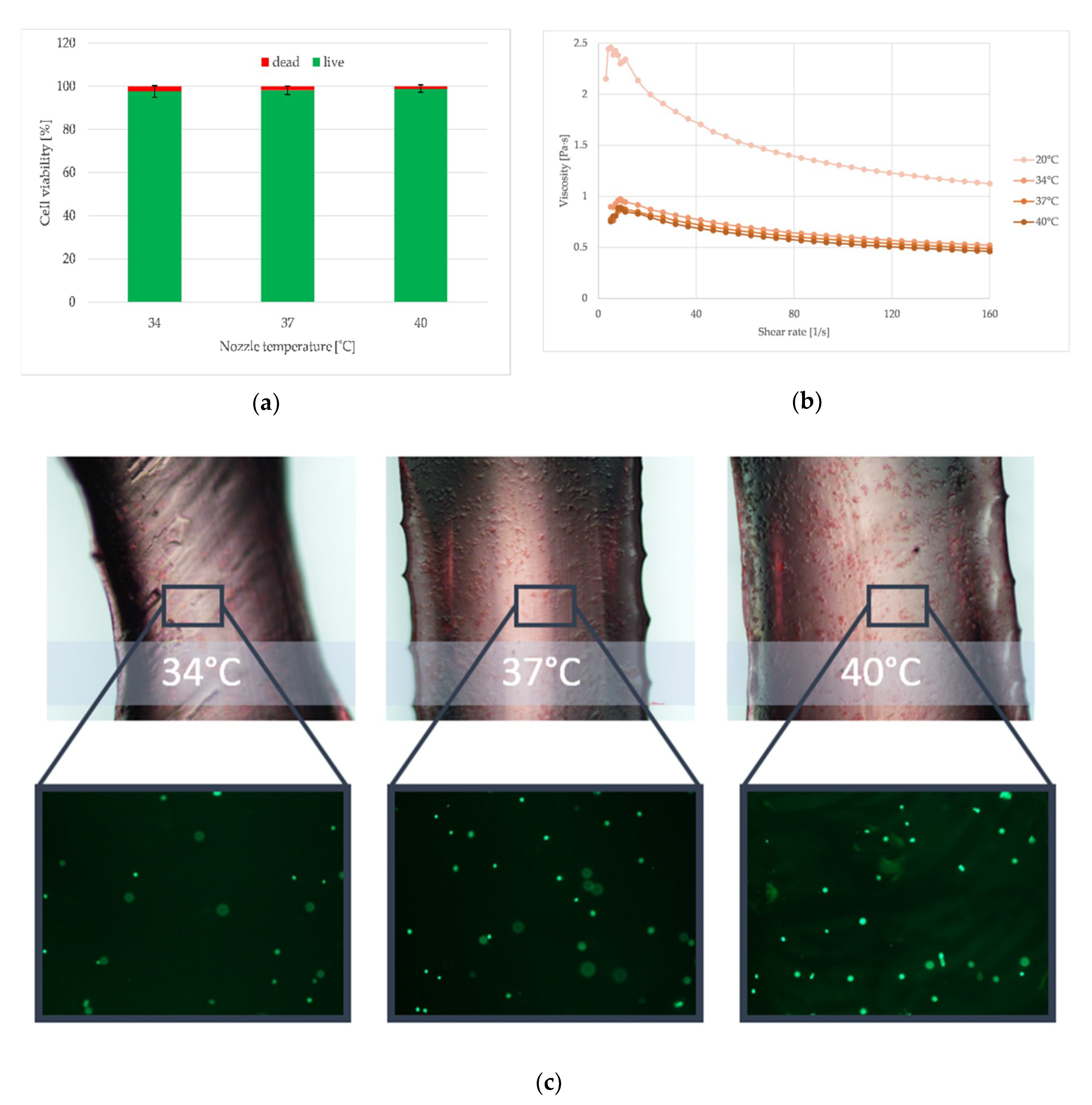 Materials 12 02669 g010