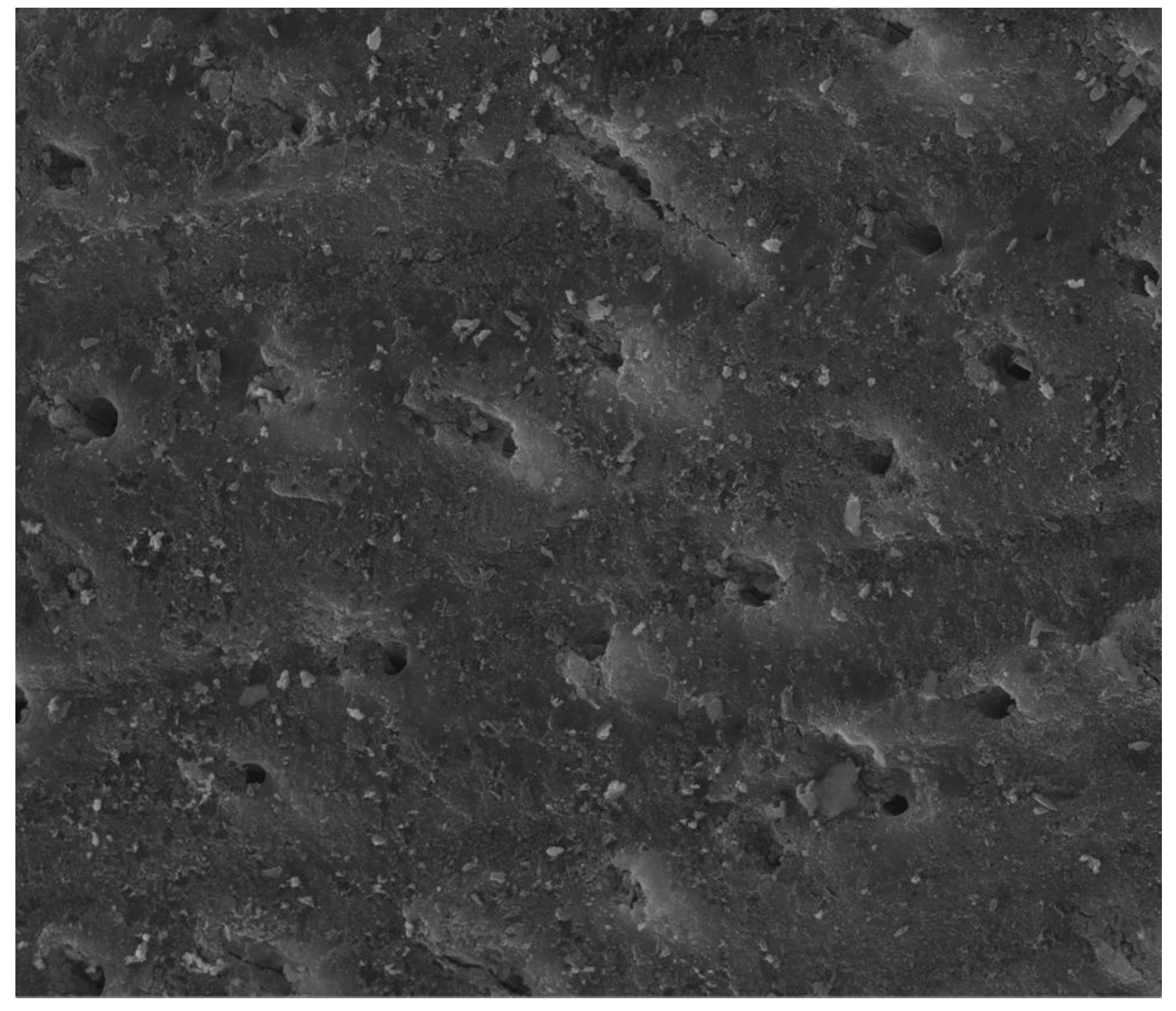 Materials 12 02683 g004