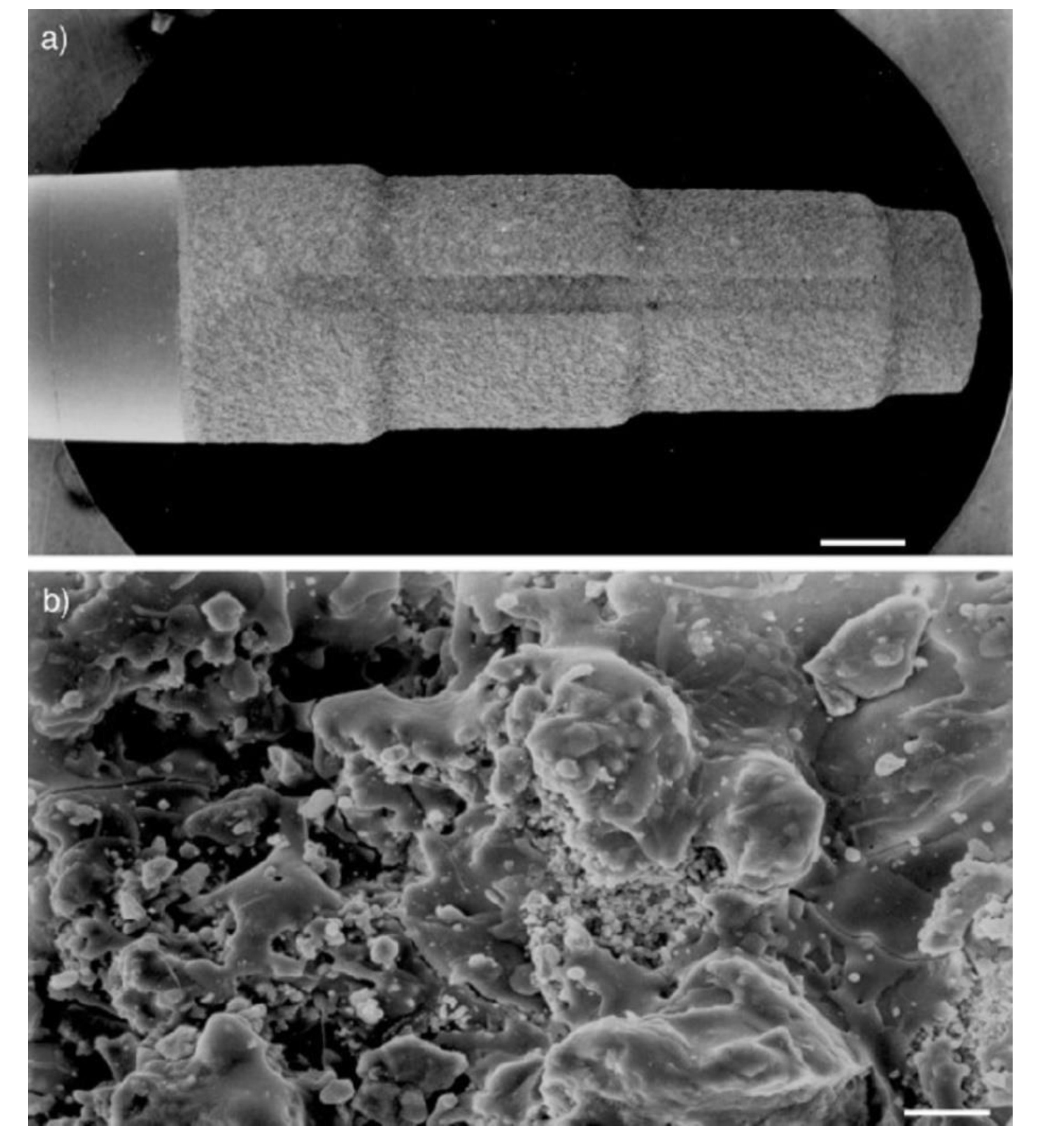 Materials 12 02683 g006