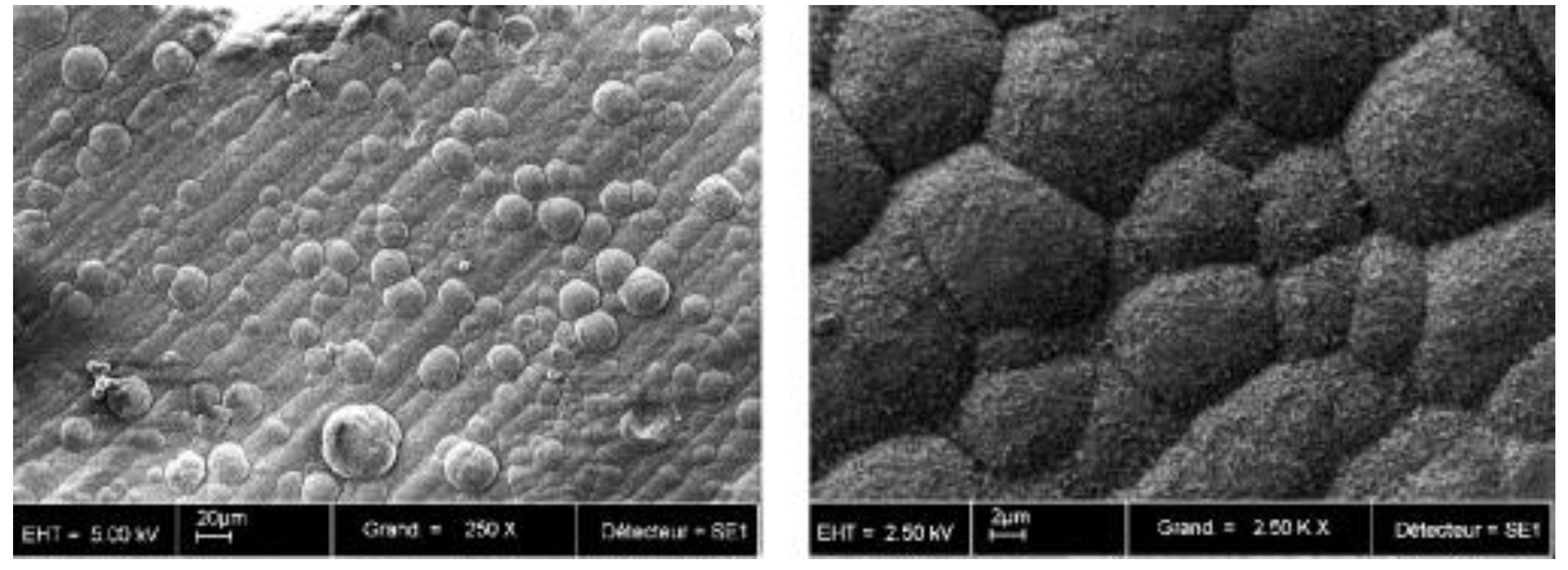 Materials 12 02683 g008