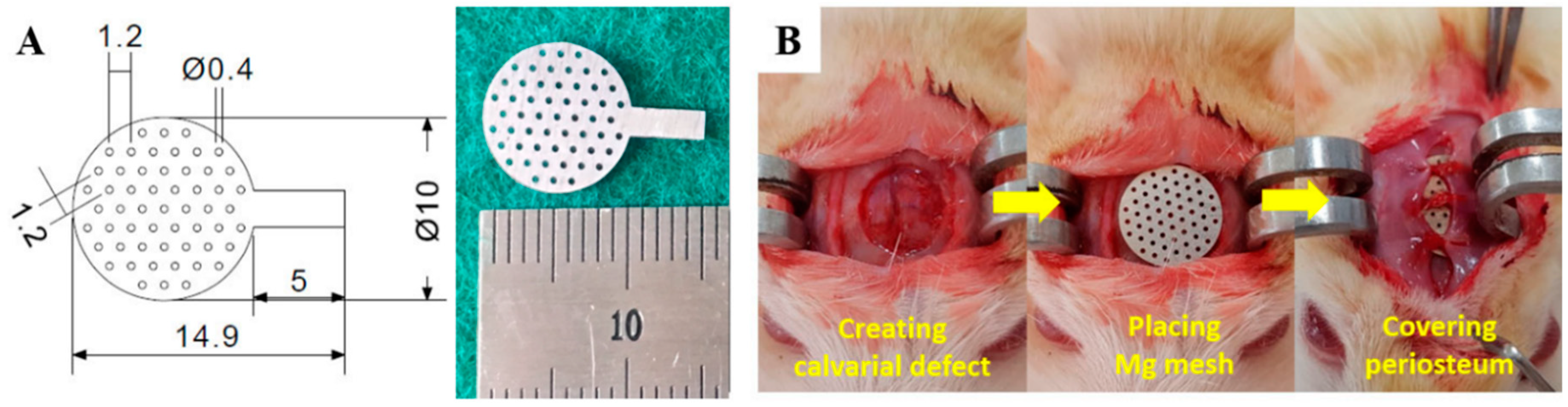 Materials 12 02684 g001