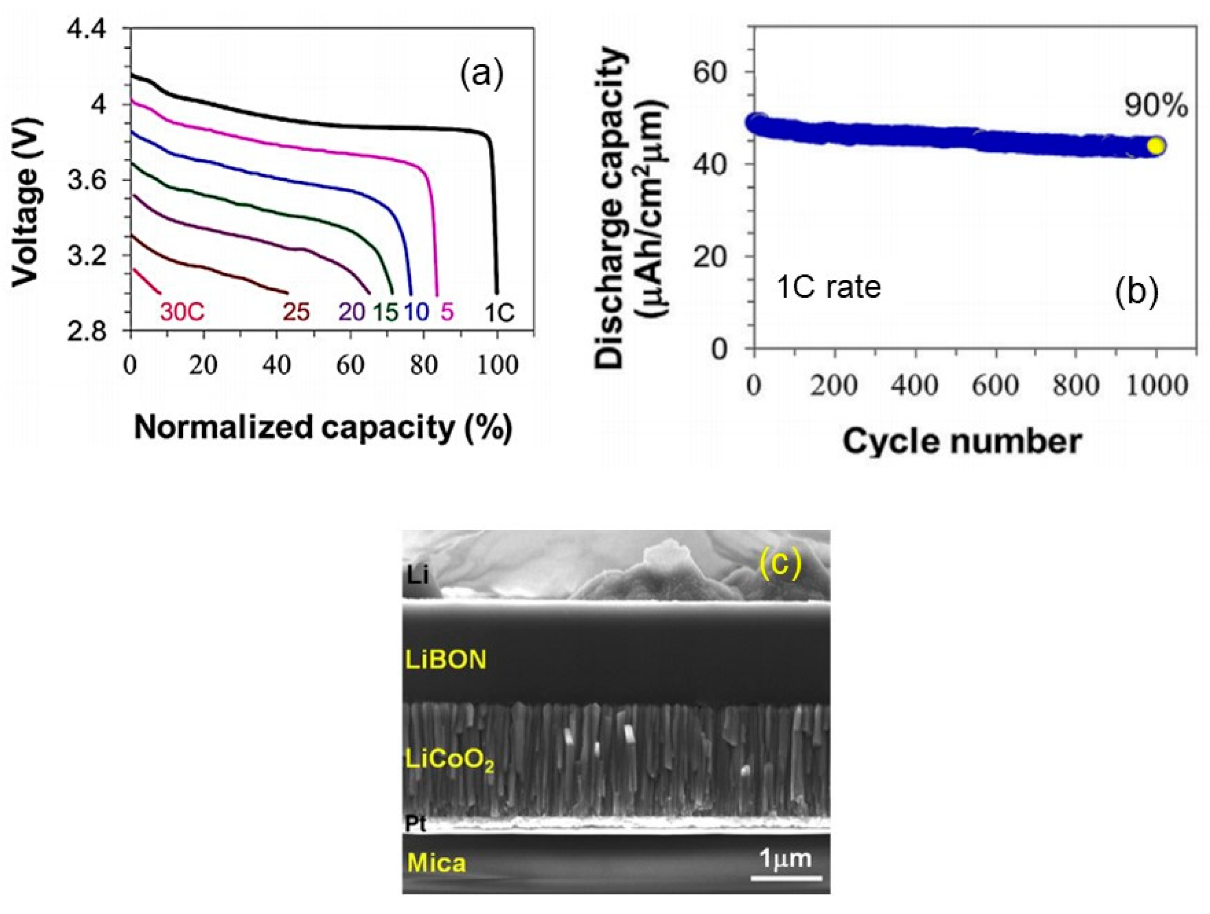 Materials 12 02687 g004 Materials 12 02687 g004