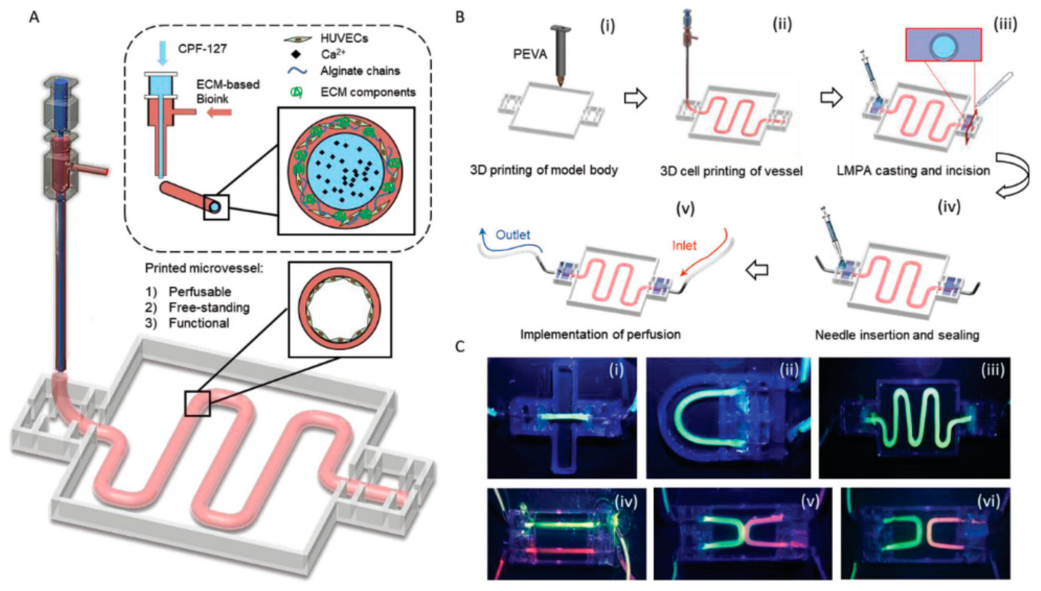 Materials 12 02701 g002 Materials 12 02701 g002