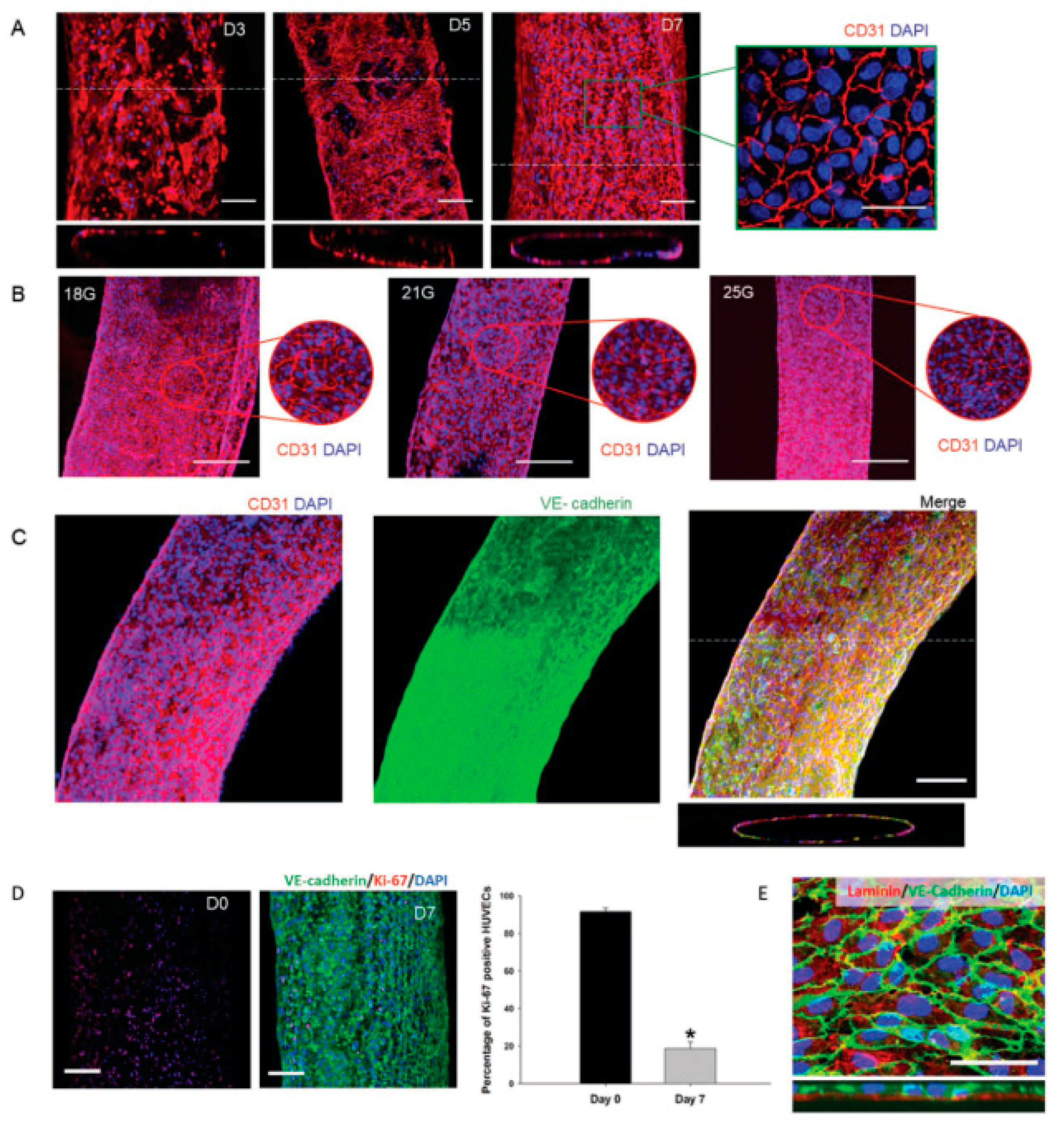 Materials 12 02701 g005 Materials 12 02701 g005