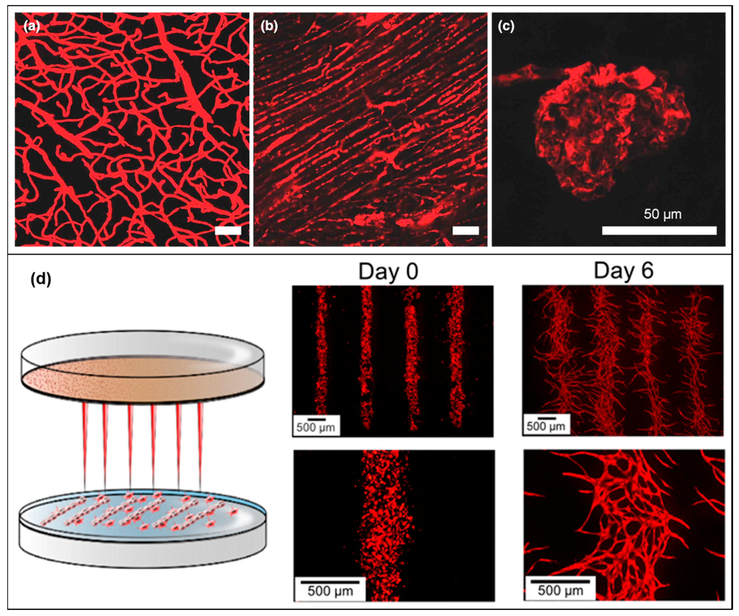 Materials 12 02701 g010 Materials 12 02701 g010