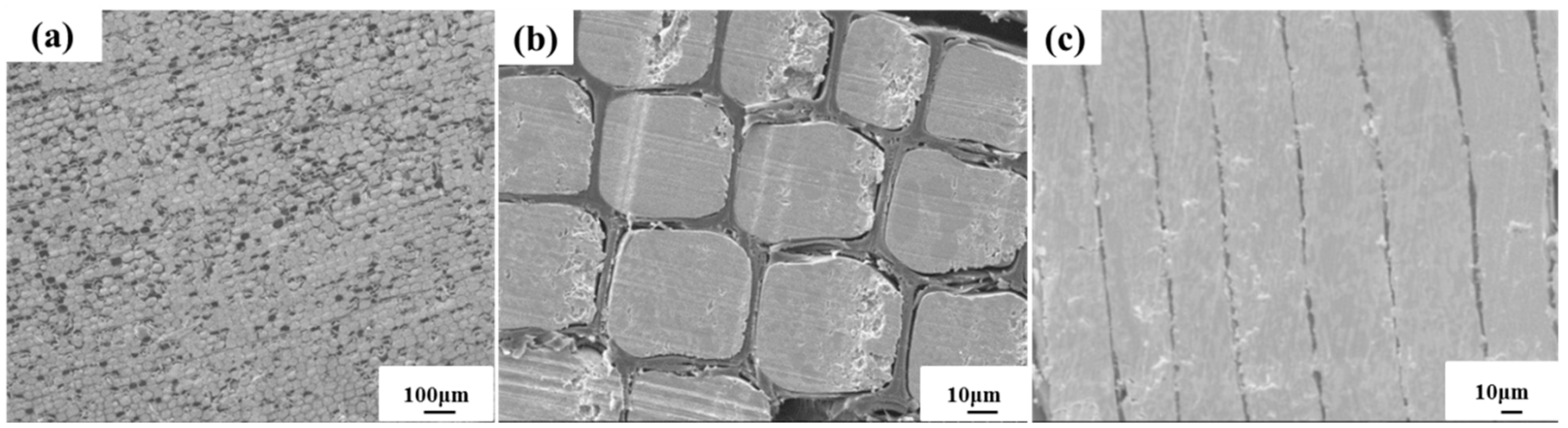 Materials 12 02709 g001 Materials 12 02709 g001