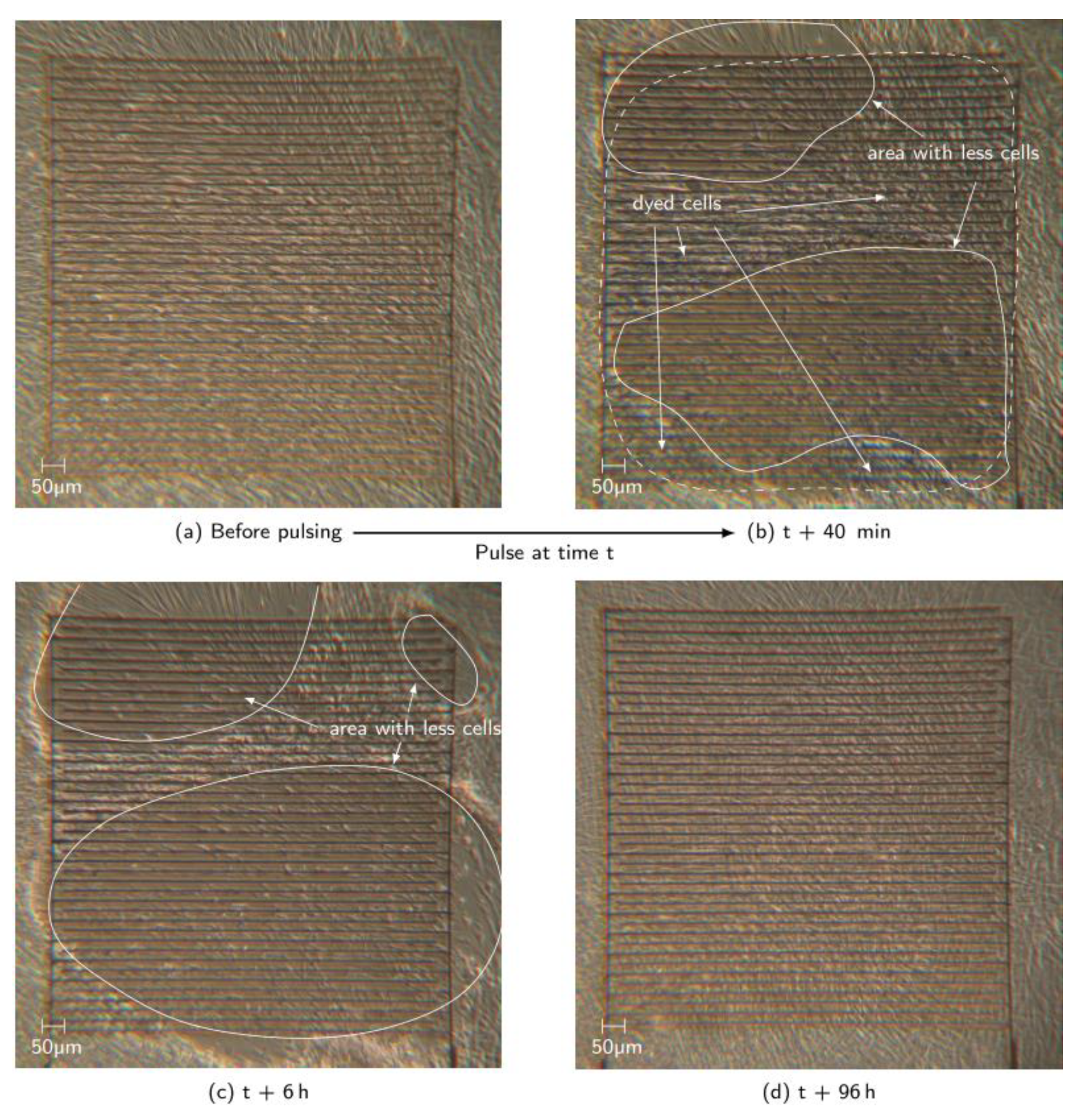 Materials 12 02713 g008