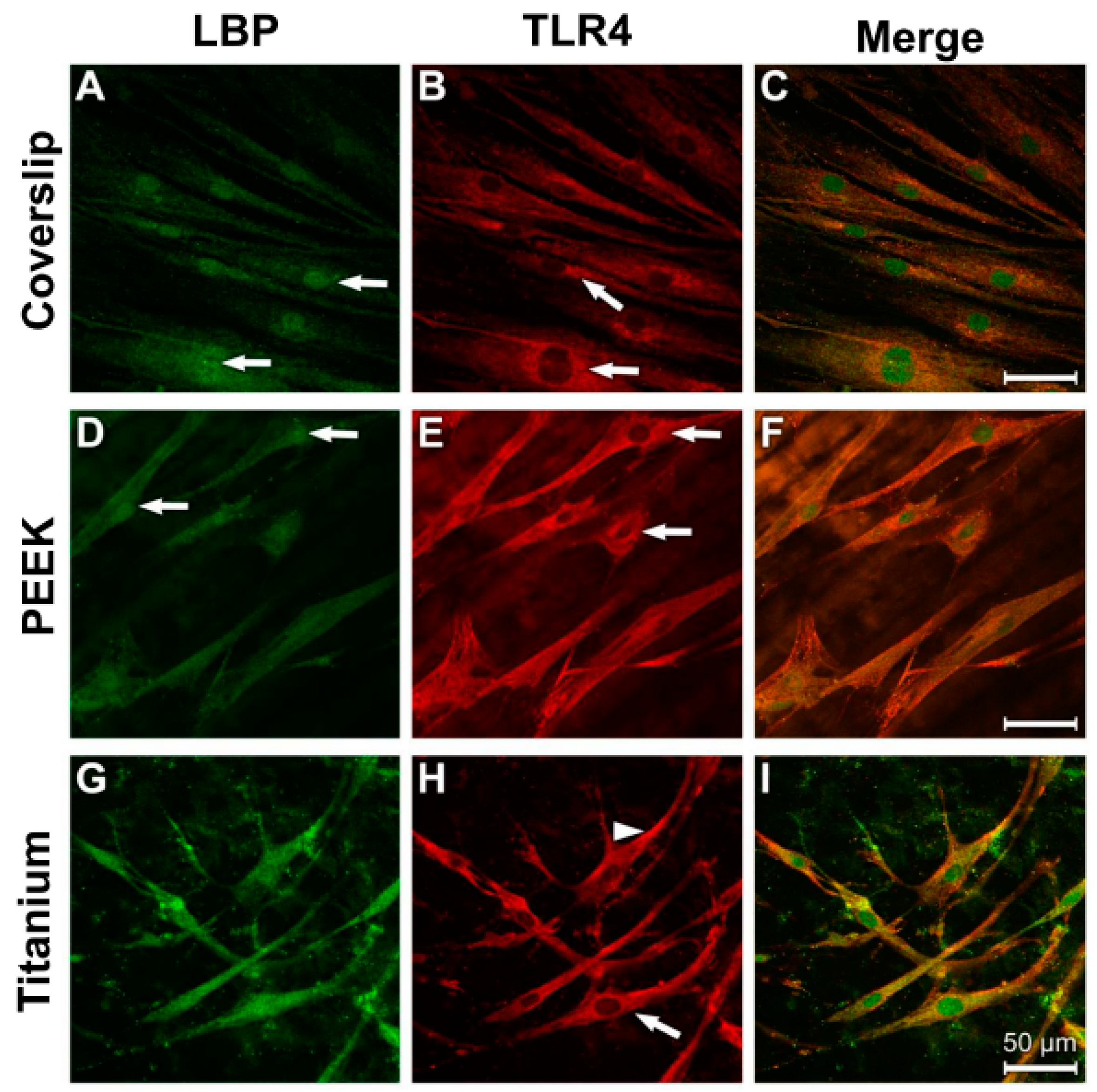 Materials 12 02739 g007