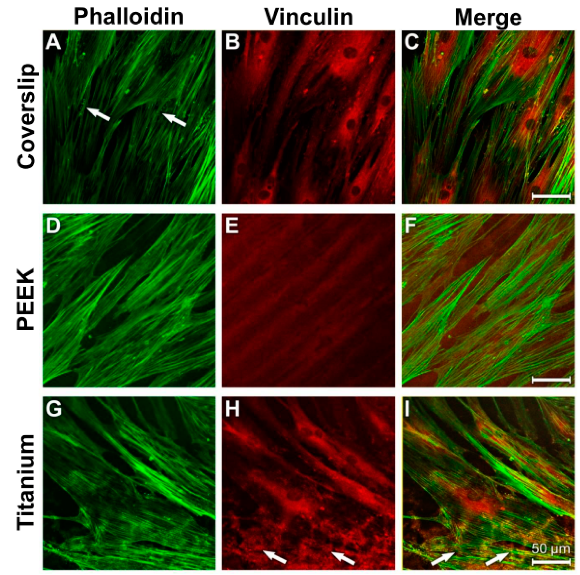 Materials 12 02739 g010