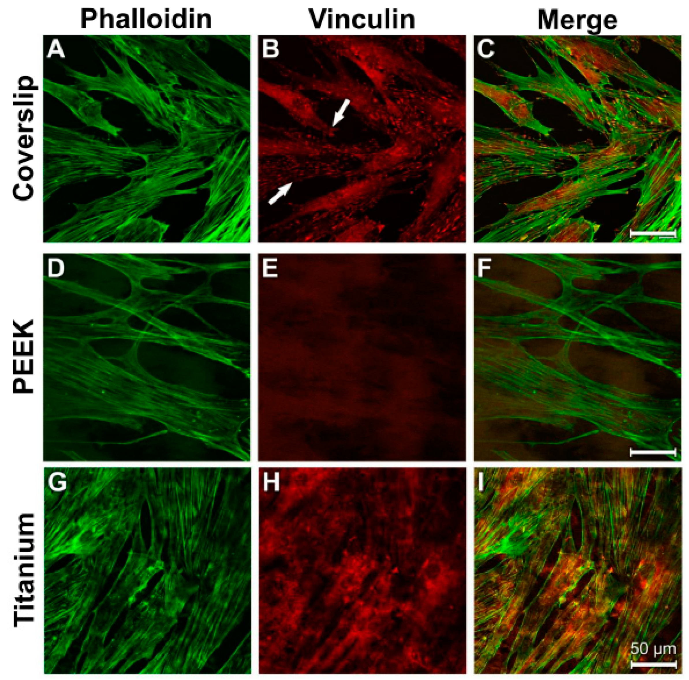 Materials 12 02739 g011
