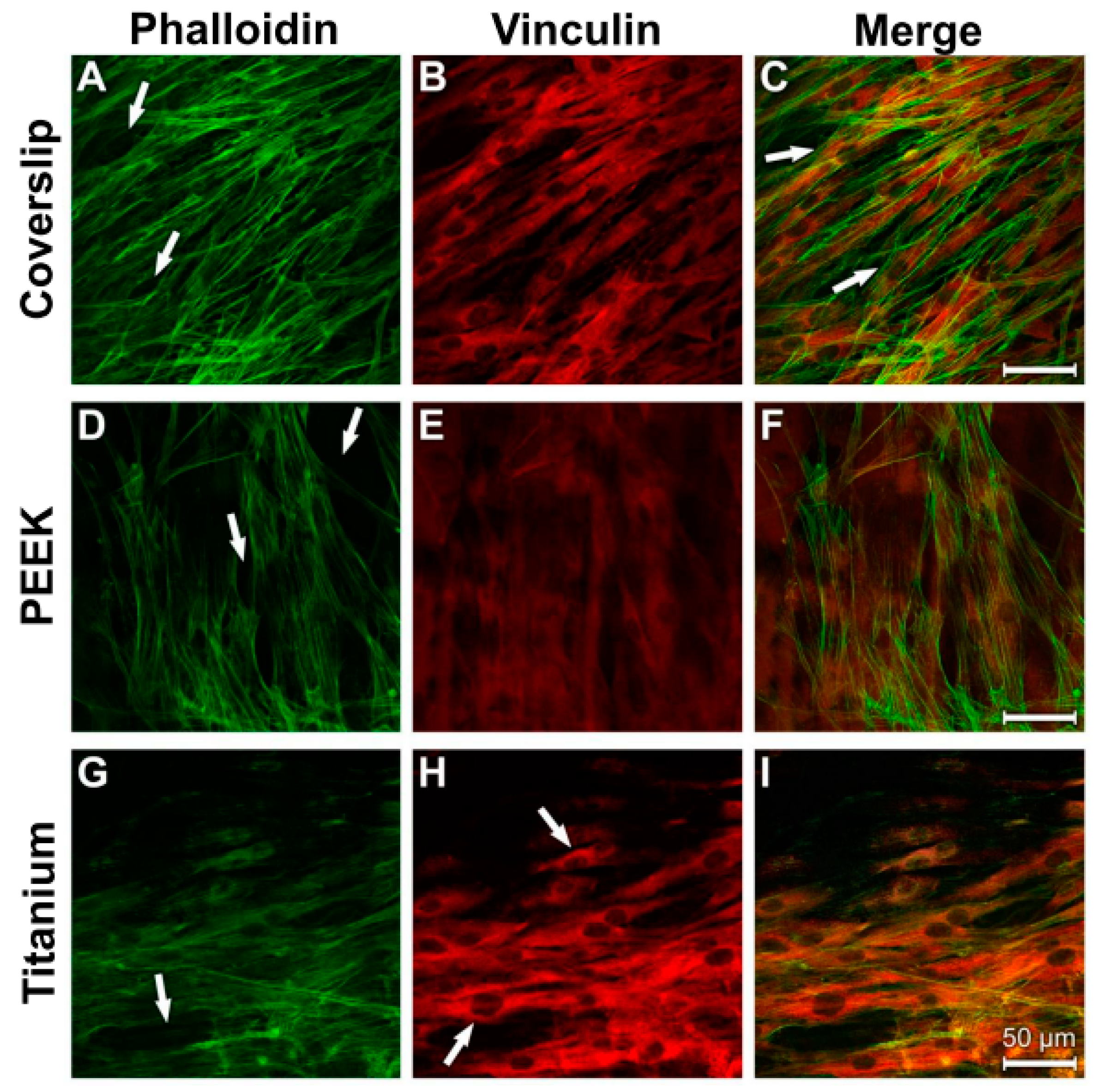 Materials 12 02739 g013