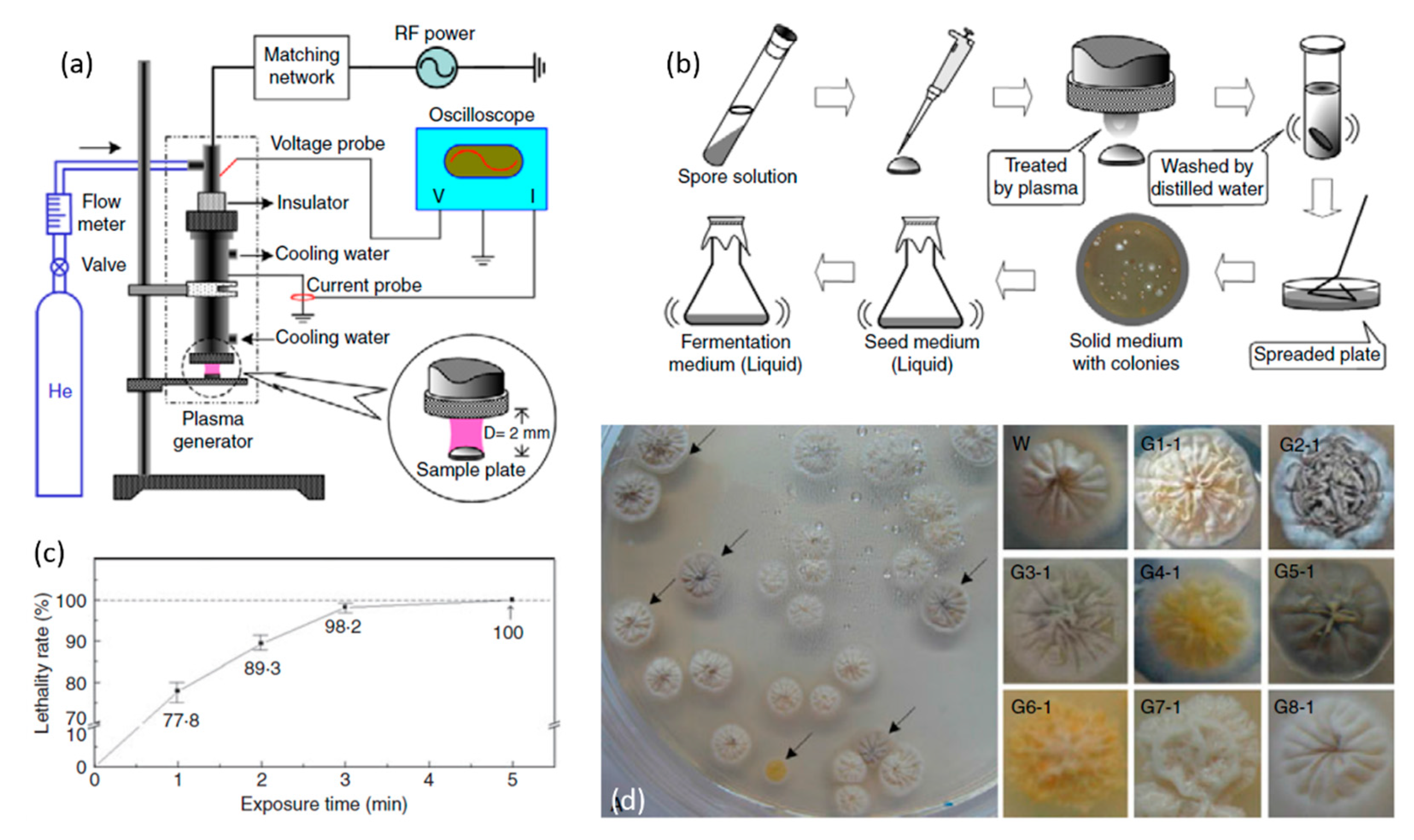 Materials 12 02751 g016 Materials 12 02751 g016