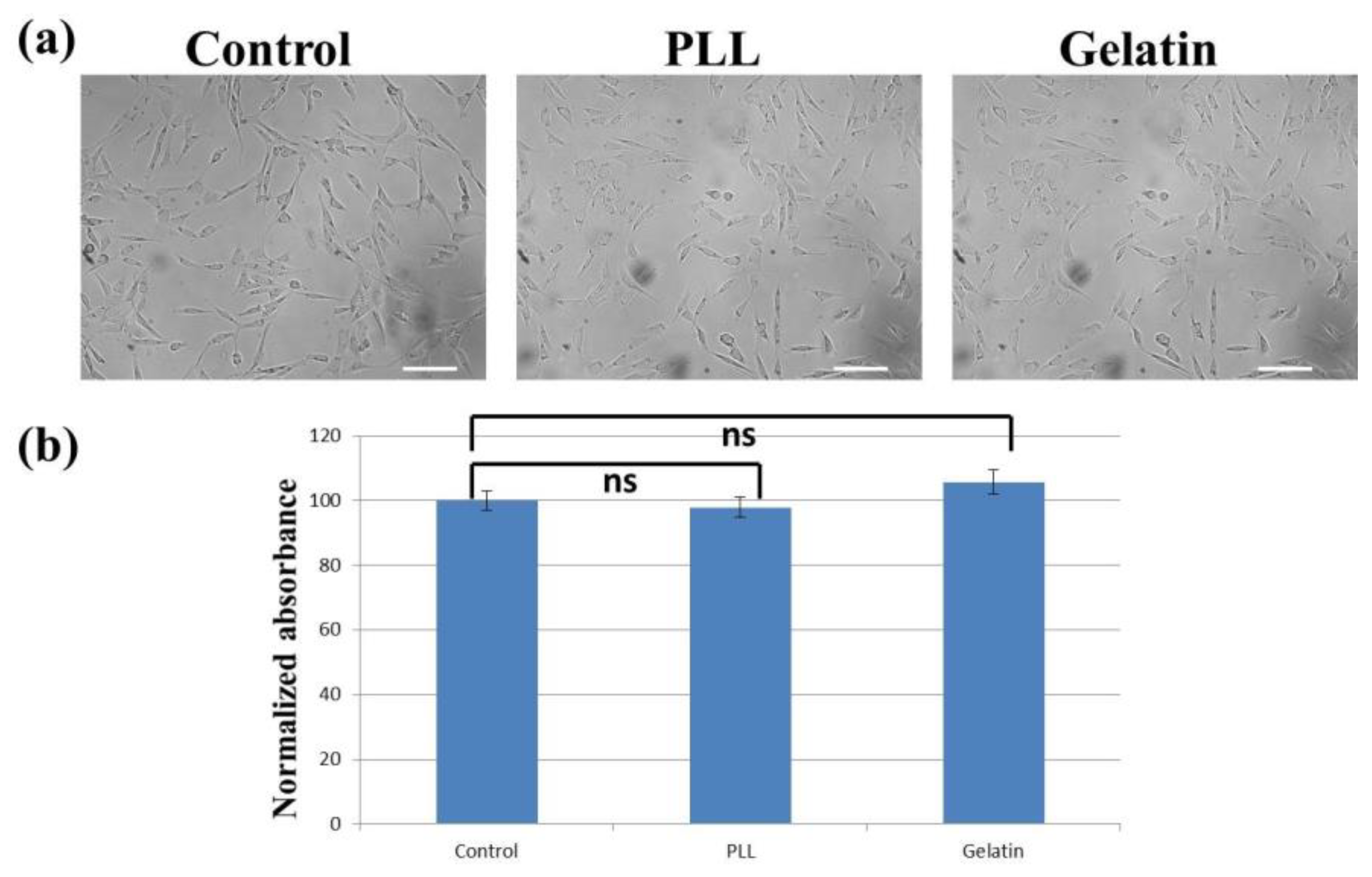 Materials 12 02775 g005 Materials 12 02775 g005