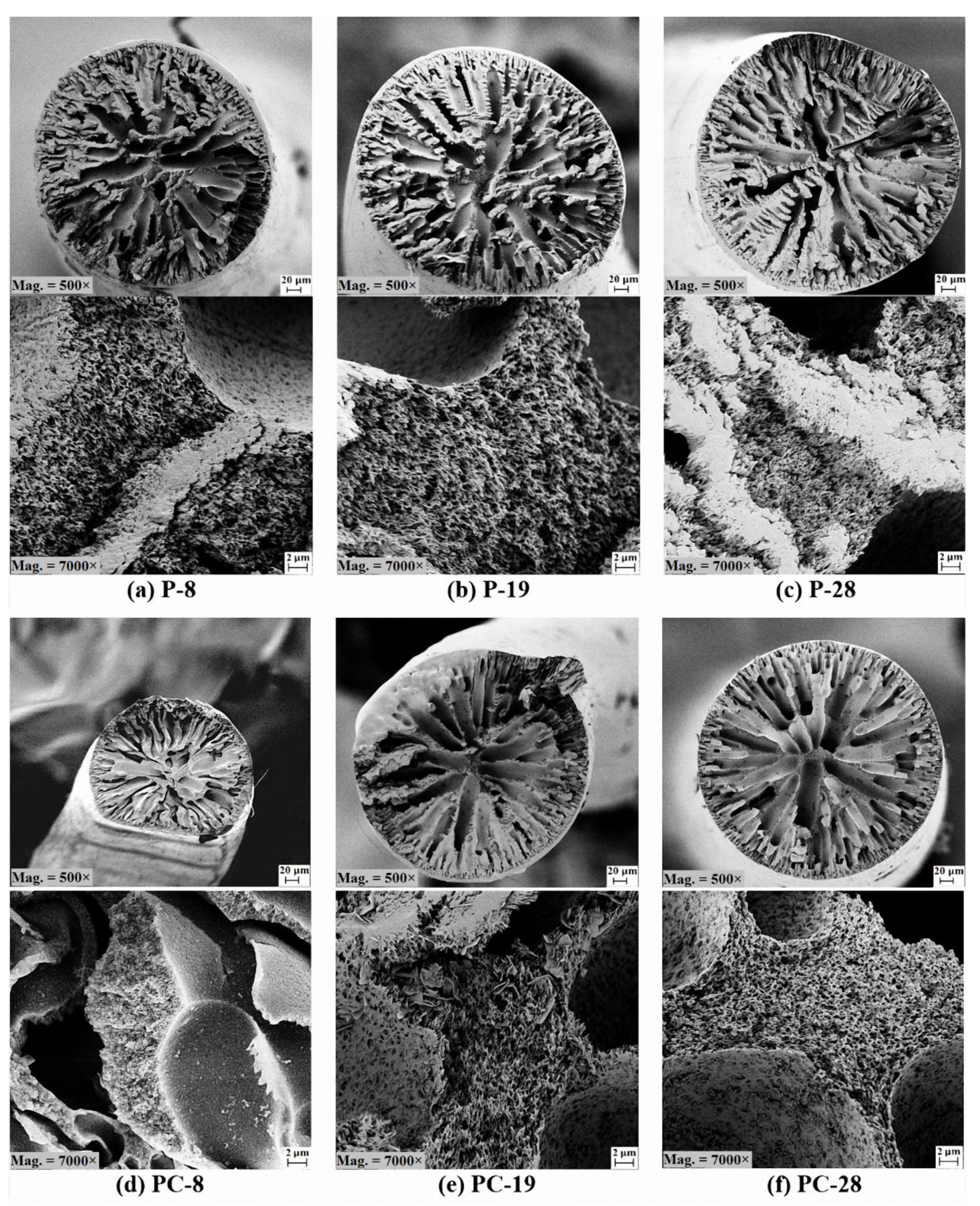 Materials 12 02797 g003