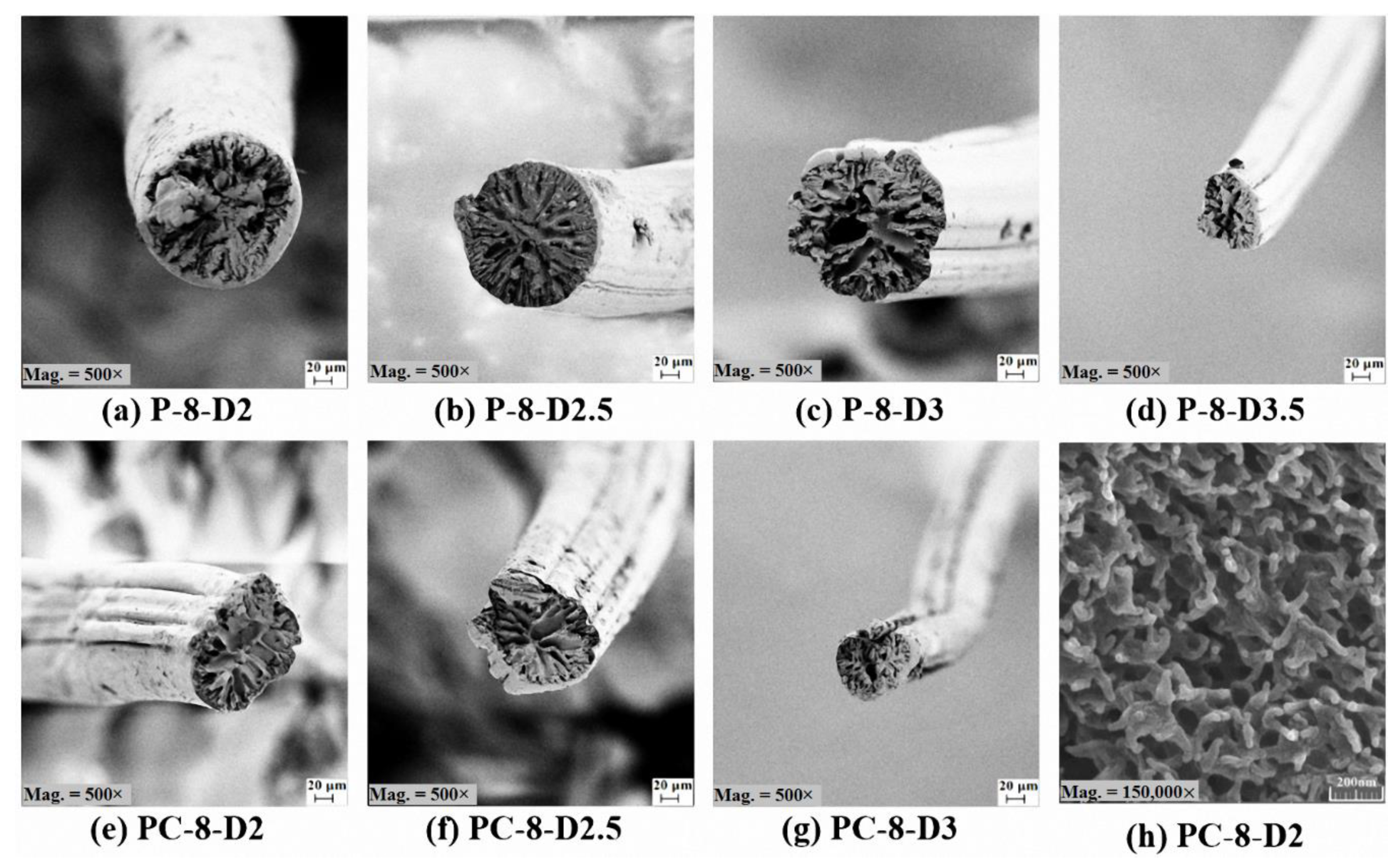 Materials 12 02797 g004