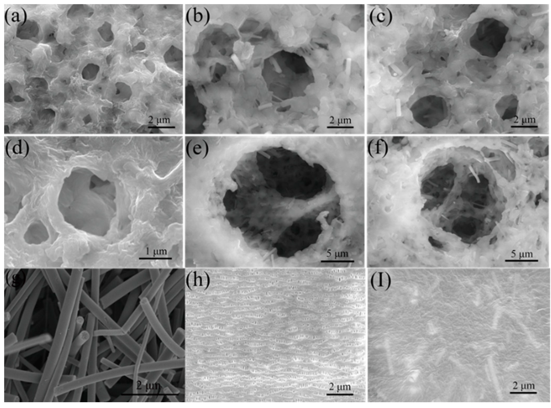 Materials 12 02813 g001 Materials 12 02813 g001