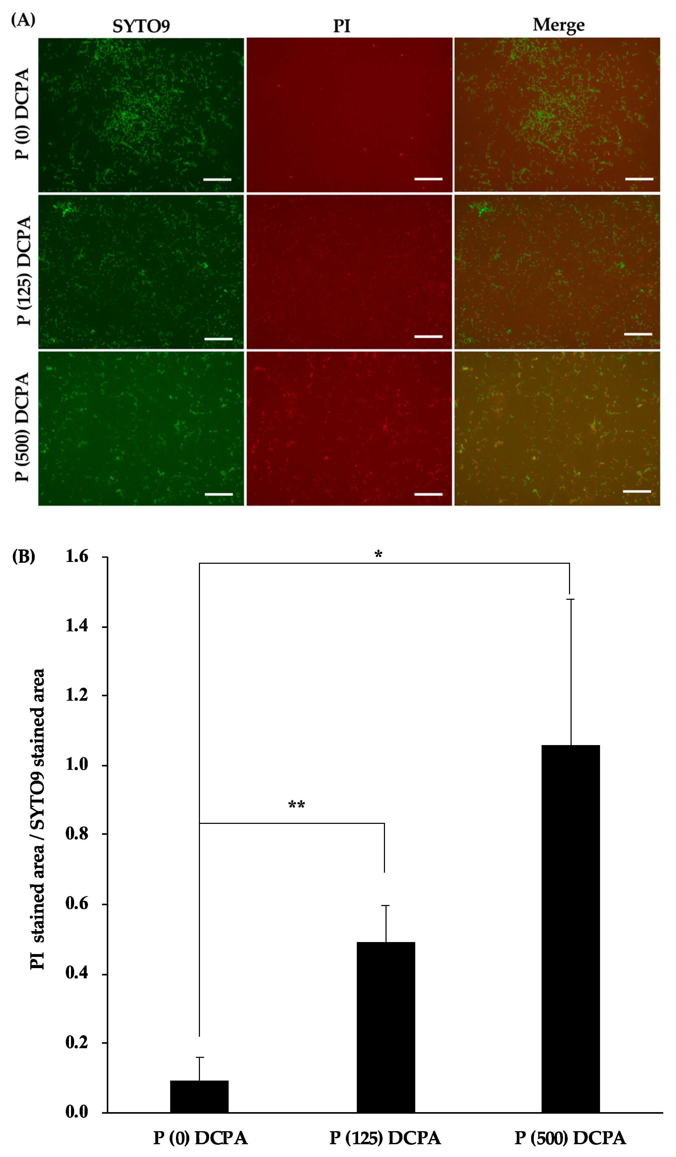 Materials 12 02816 g001a Materials 12 02816 g001a