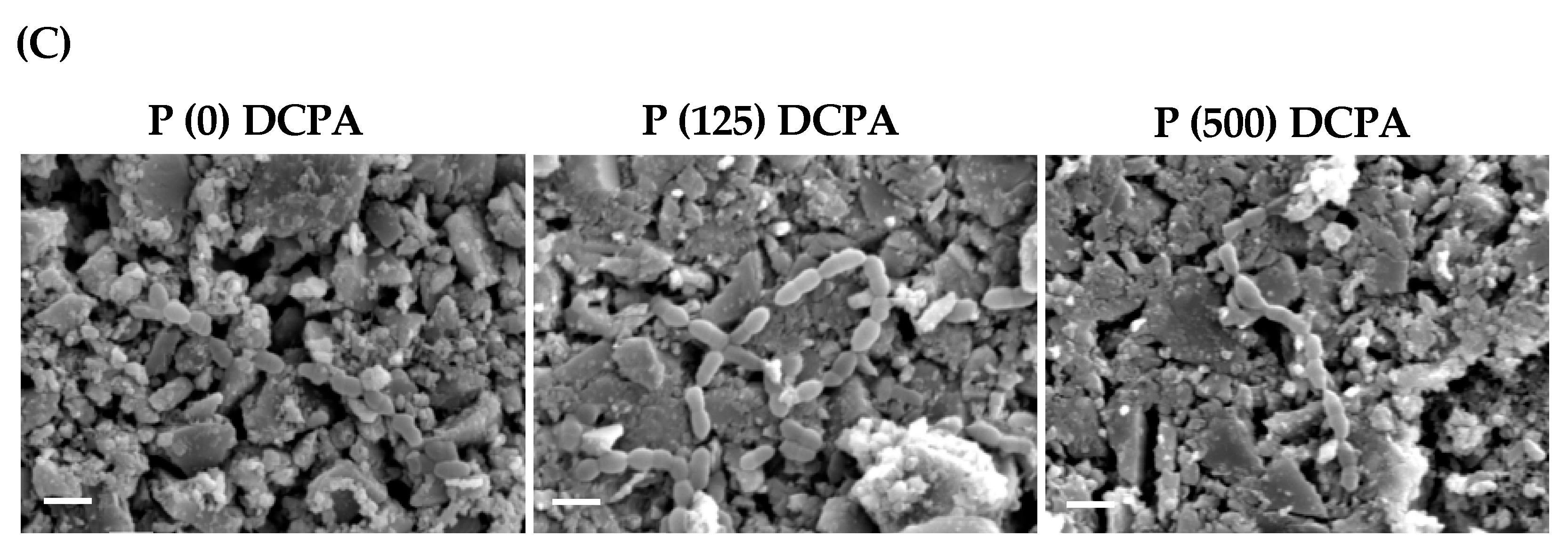 Materials 12 02816 g001b Materials 12 02816 g001b